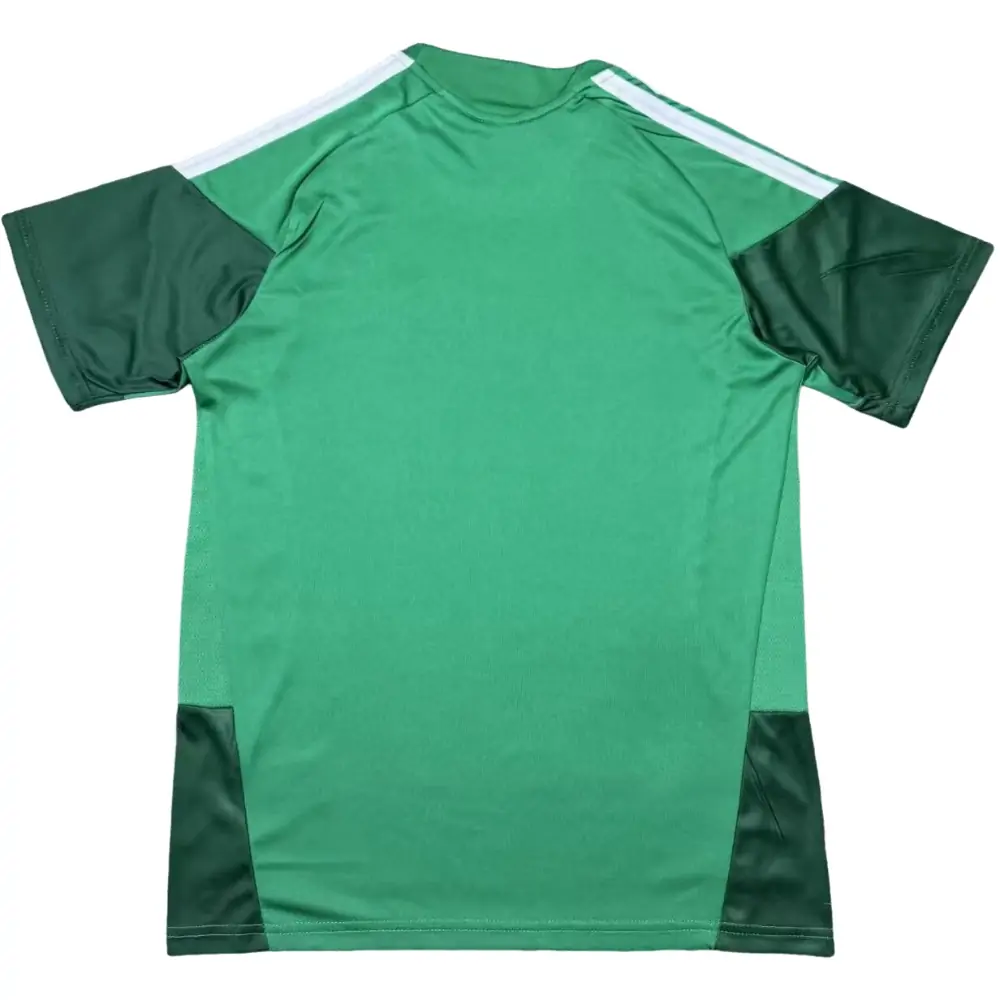 2026 World Cup Mexico Training Jersey - Fans Edition