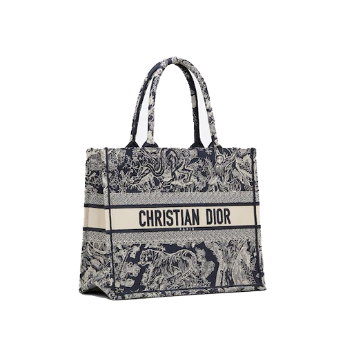 SMALL DIOR BOOK TOTE Blue Toile de Jouy Reverse Embroidery