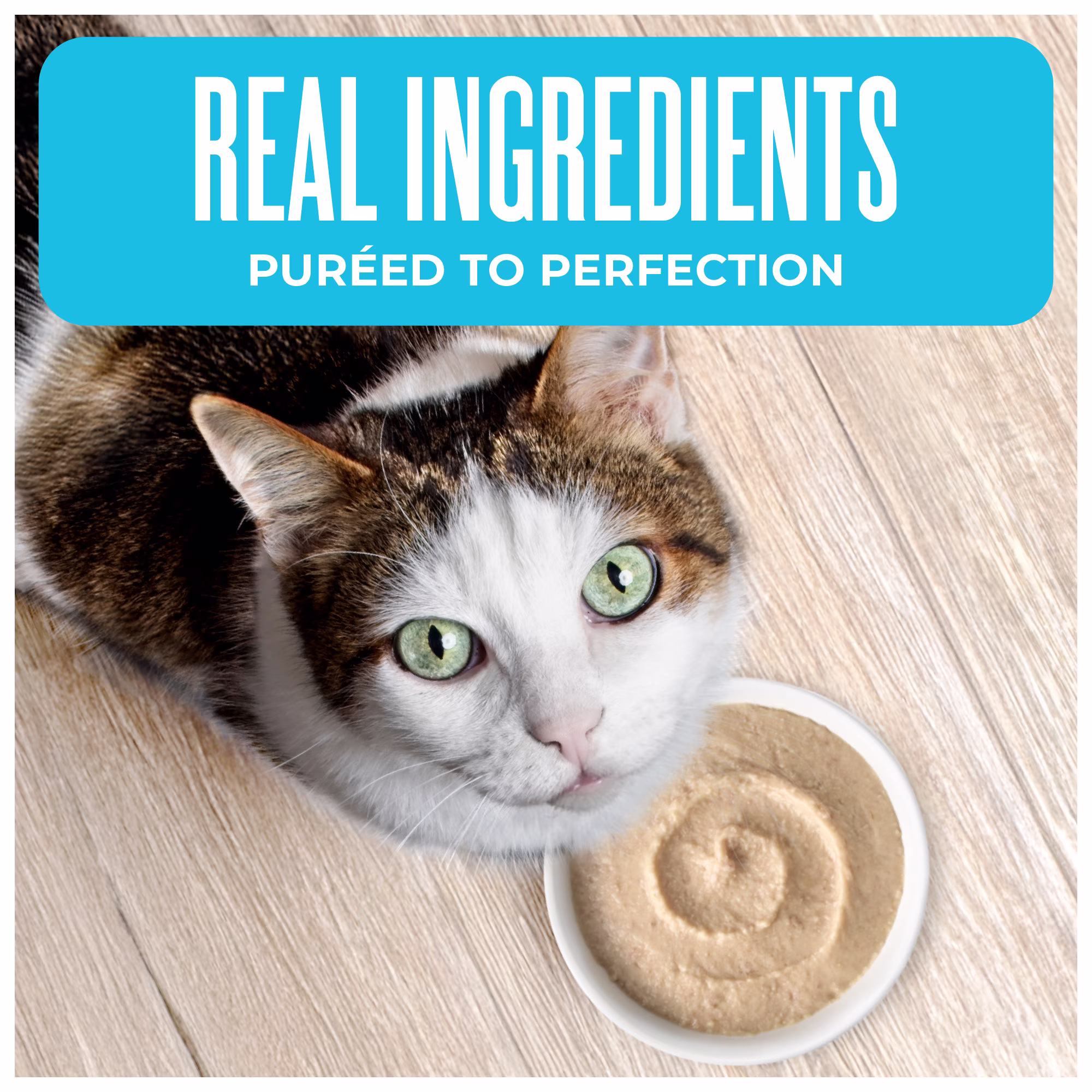 Tiki Cat Born Carnivore Wet Cat Food, Mousse, Chicken & Liver Recipe in Broth, 2.4 oz. Pouch