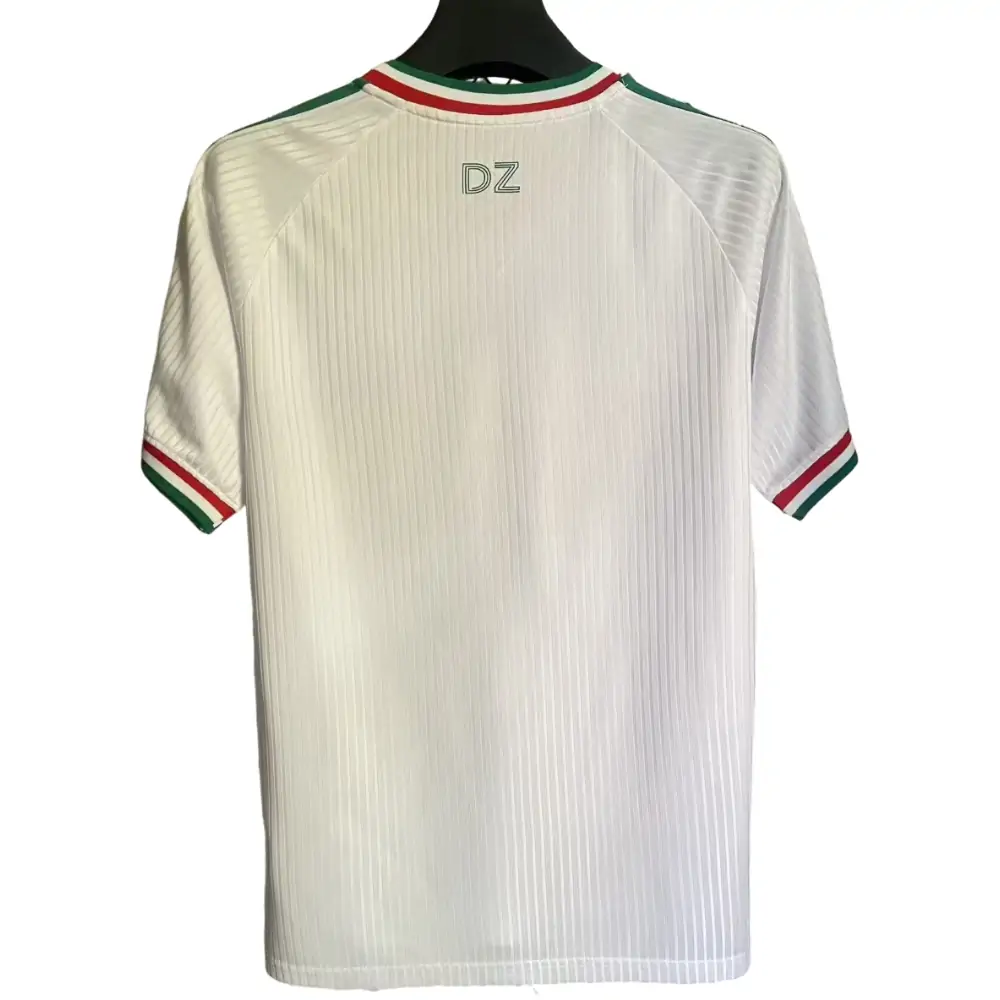 2026-27 Algeria Special Jersey - Fans Edition