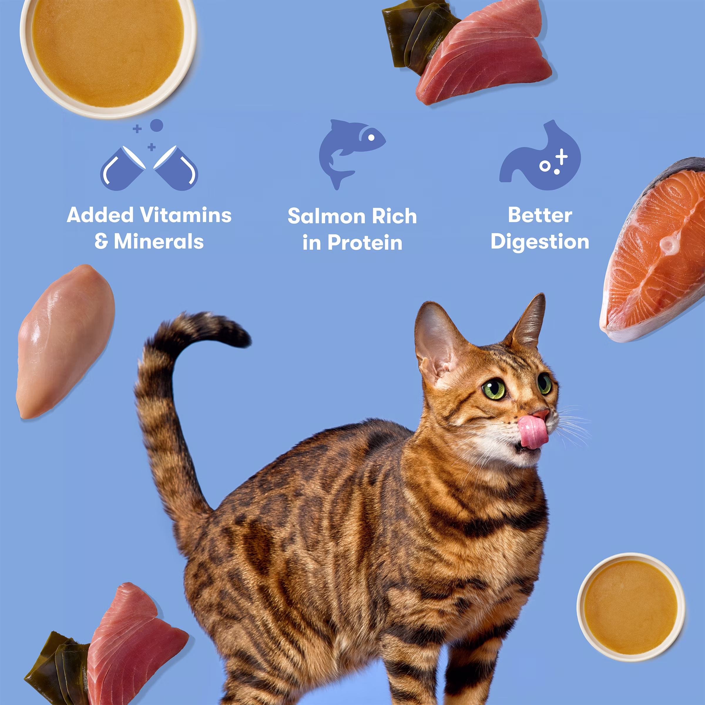Jinx Tuna & Salmon Shreds Wet Cat Food, 4.05 oz Can