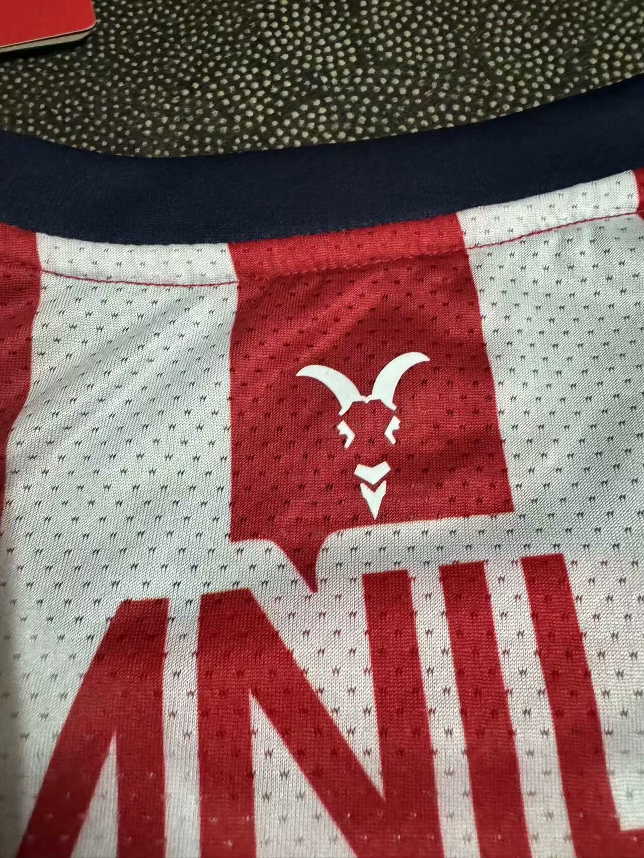 2024/25 Chivas Home Jersey 1:1 Thai Quality - Fans Edition