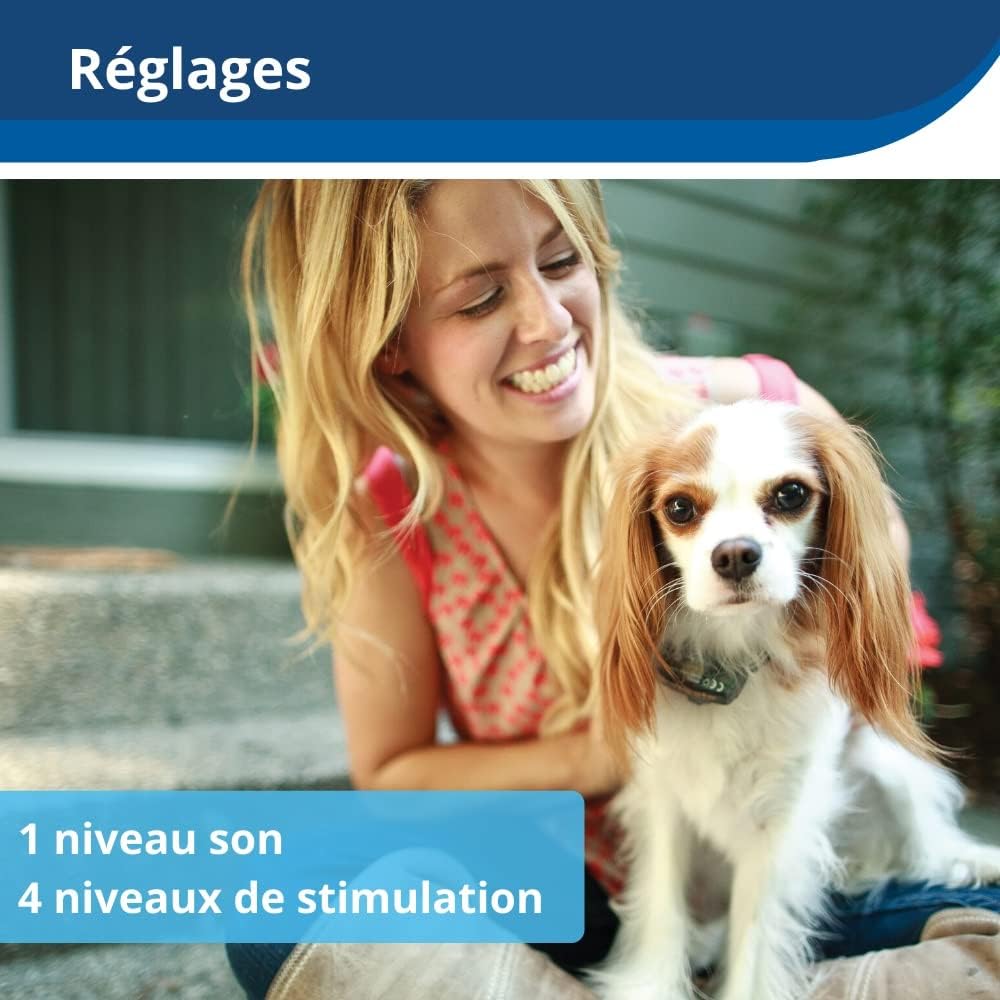 Clôture anti fugue petit chien collier étanche sangle réfléchissante installation facile