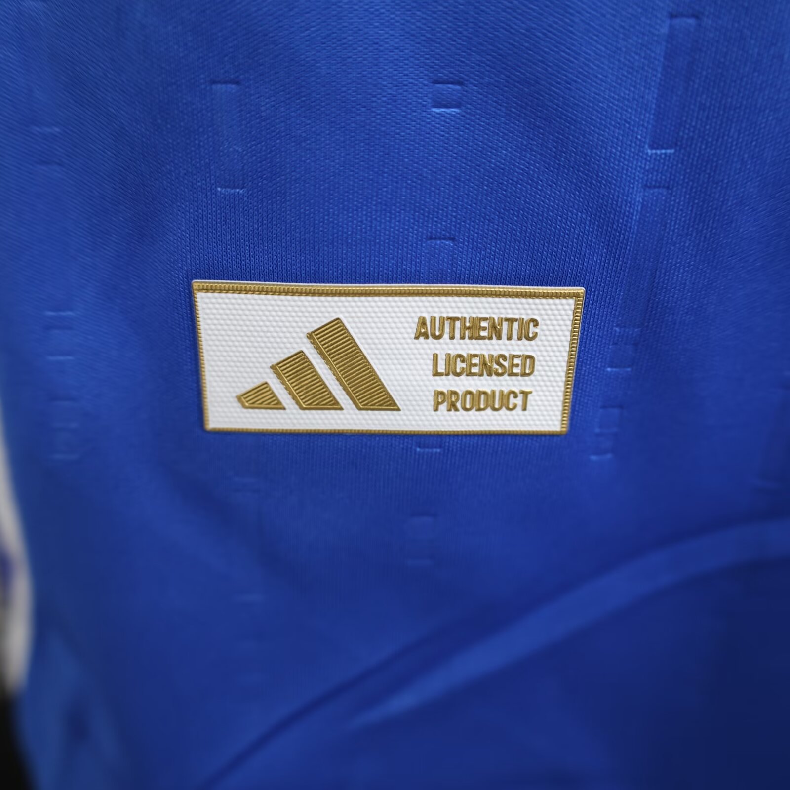 2024/25 Italy Home Player Version Long Sleeve Jersey 1:1 Thailand Quality