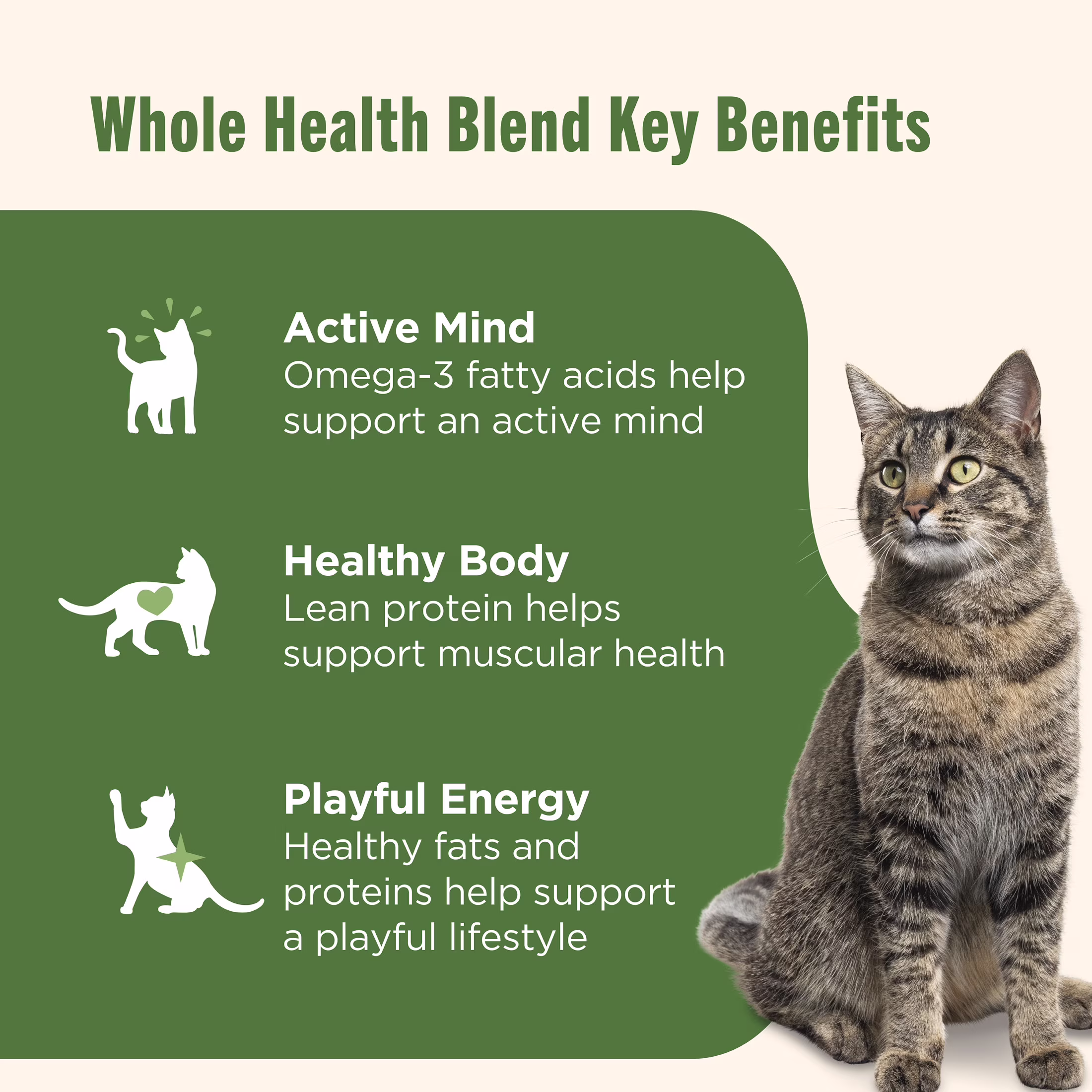 Nutrish Grain Free Wet Cat Food Chicken Purrcata Whole Health Blend with Real Shredded White Meat Chicken in Sauce, 2.8 oz. Cup (Rachael Ray)