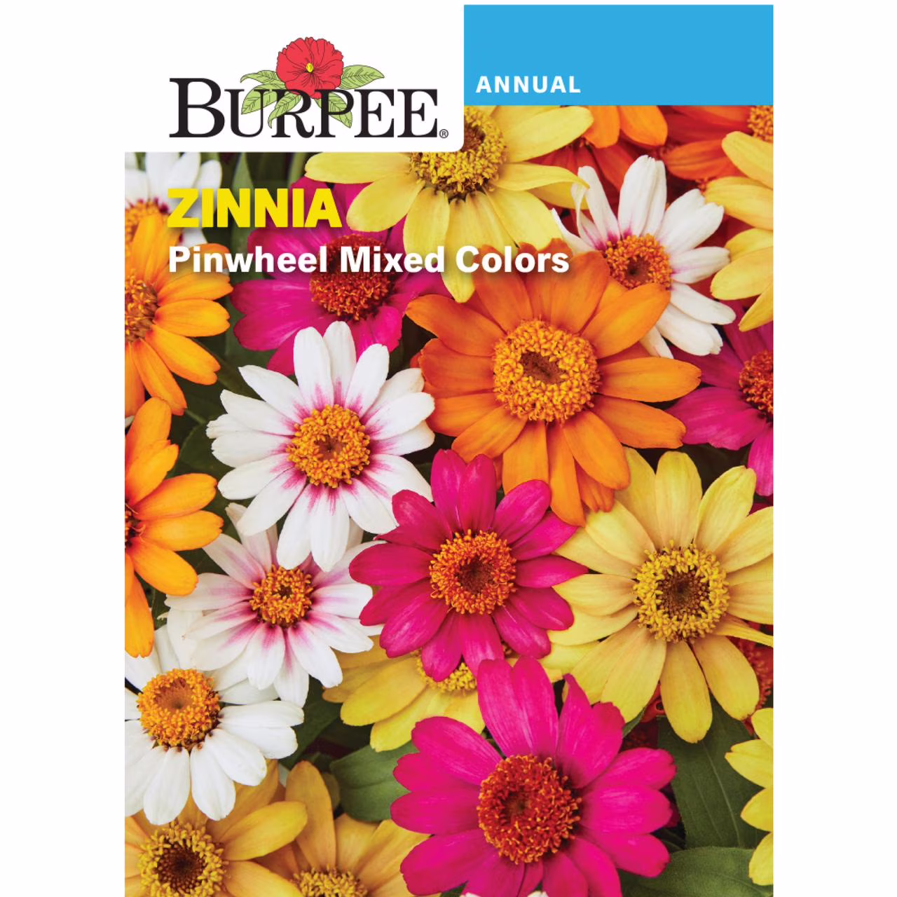 Burpee Pinwheel Mix Zinnia Seed Packet, Annual Flower, Full Sun