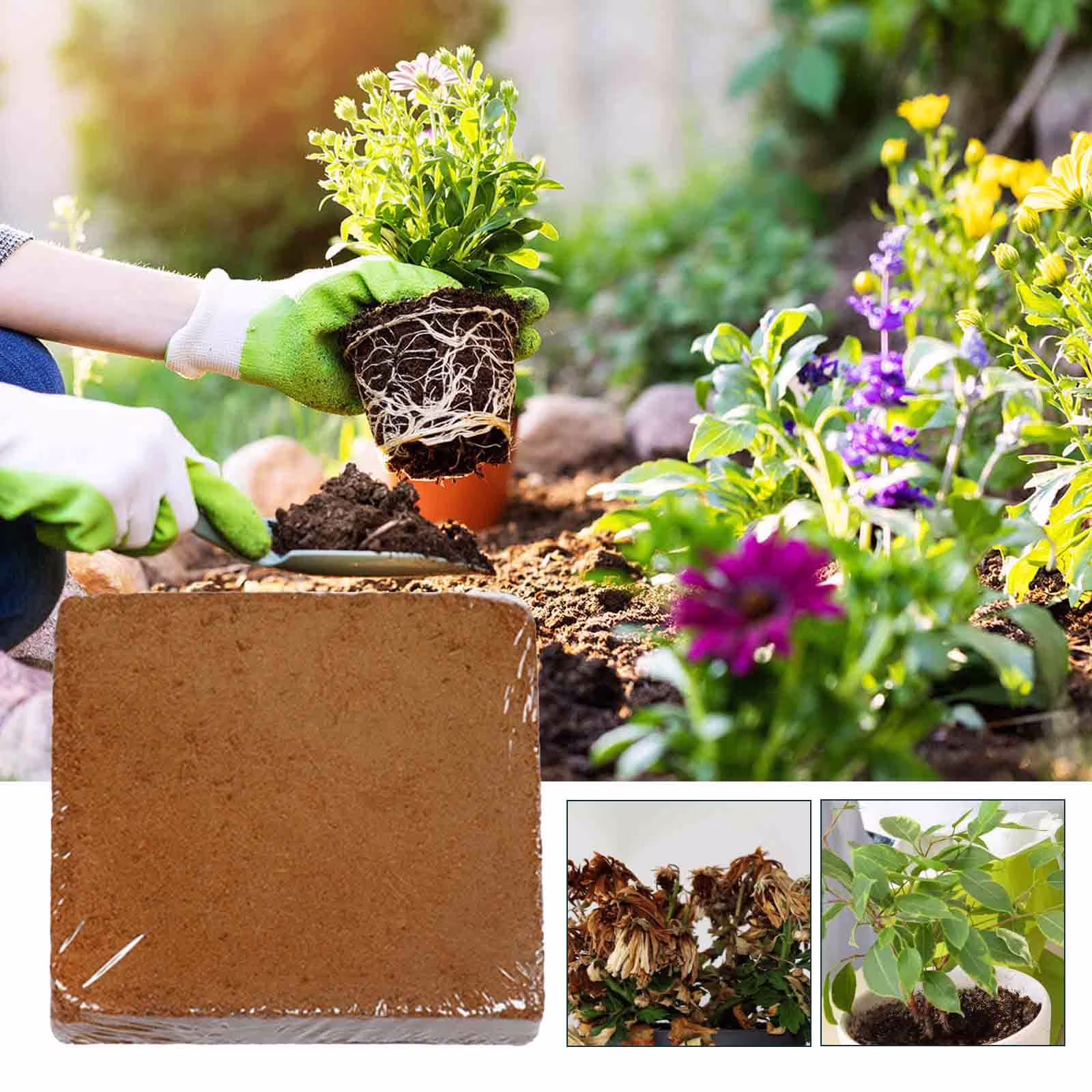 HongHeng Clearance Under $2.00 Plant Coir Fiber Bricks Plant Cultivation Growing Nutrient Dirt Potting Grass Flower Fertilizer