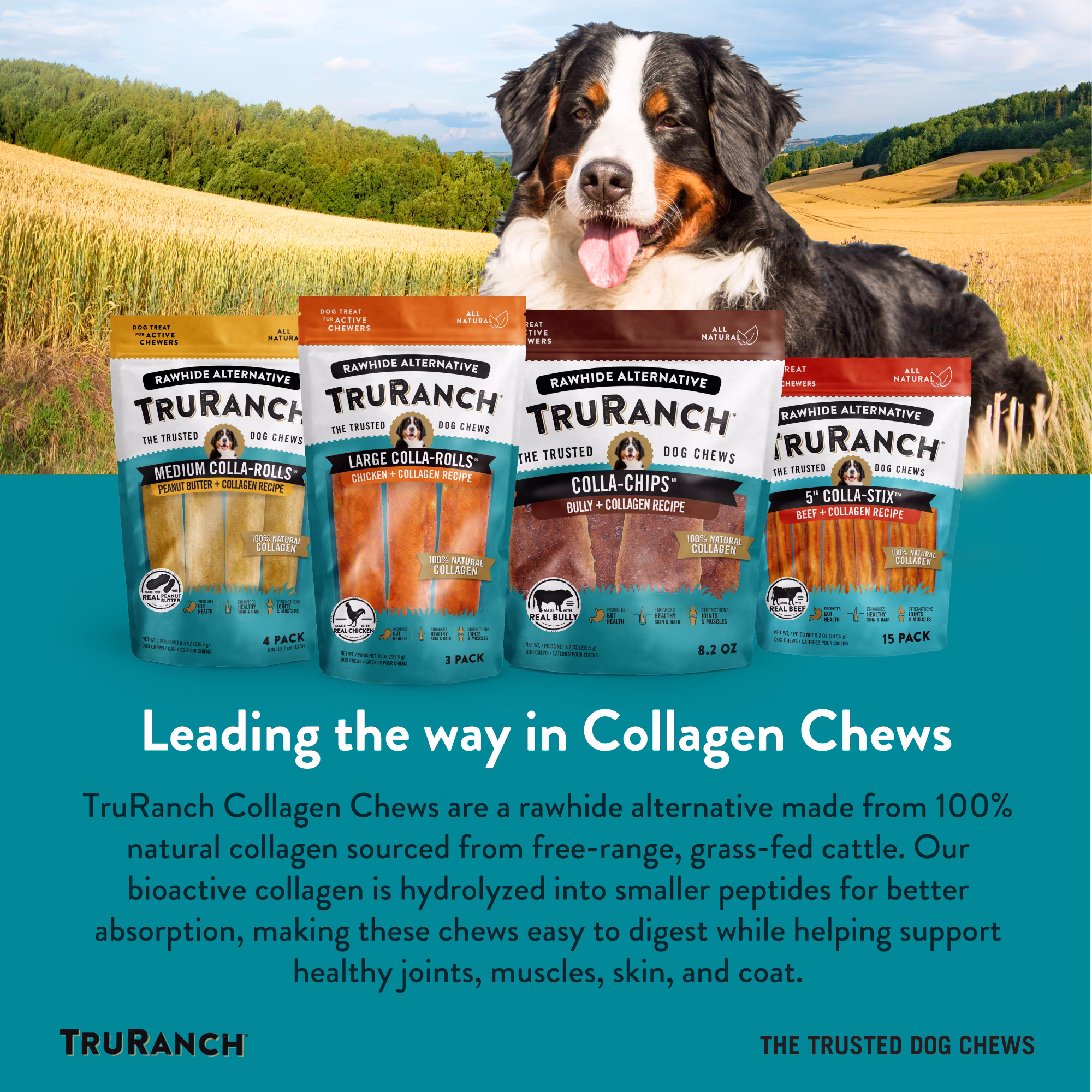 TruRanch All-Natural Rawhide Alternative Dog Treats, Large Collagen Roll, Chicken, 1 Pack