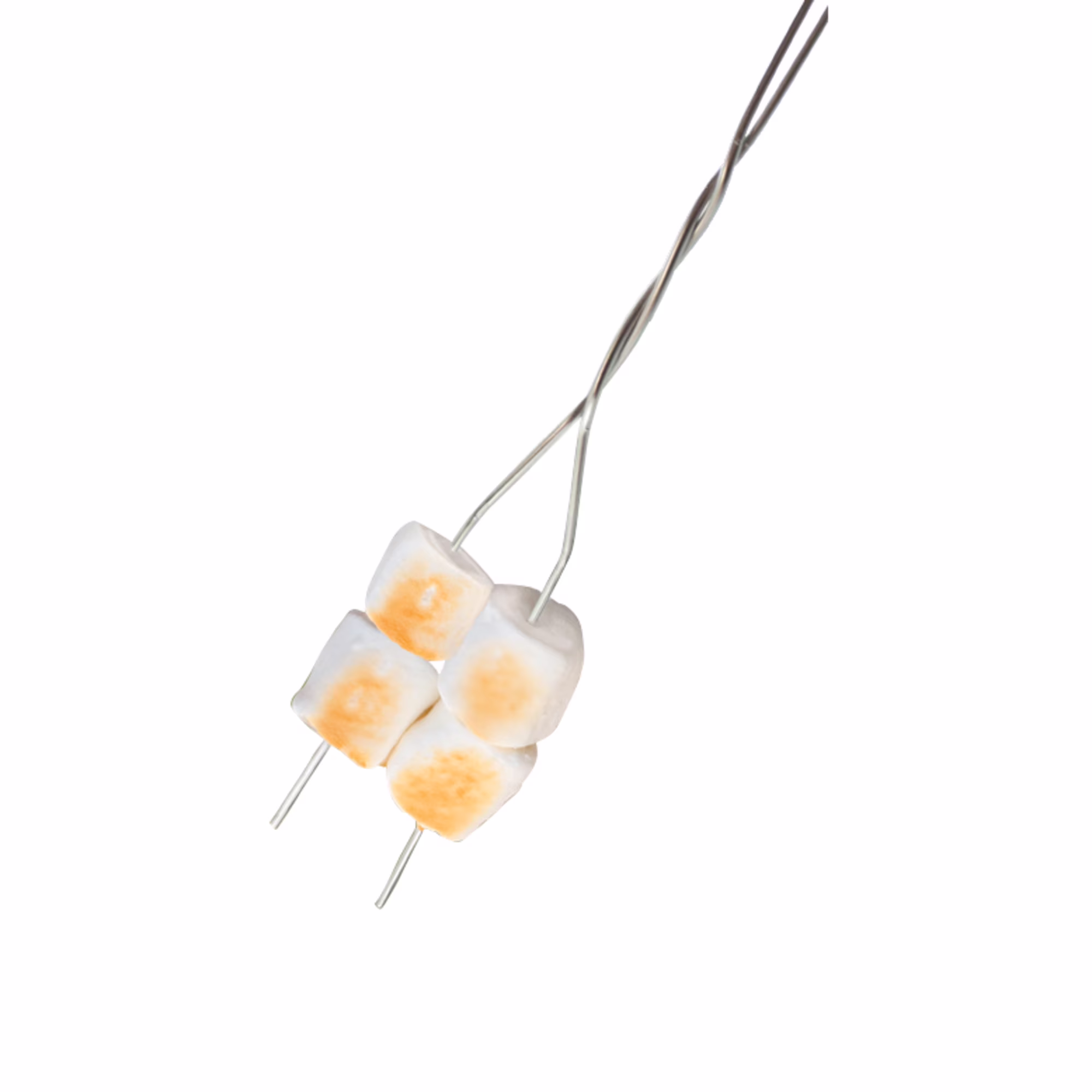 Coghlan's Toaster Forks (4 Pack), 20