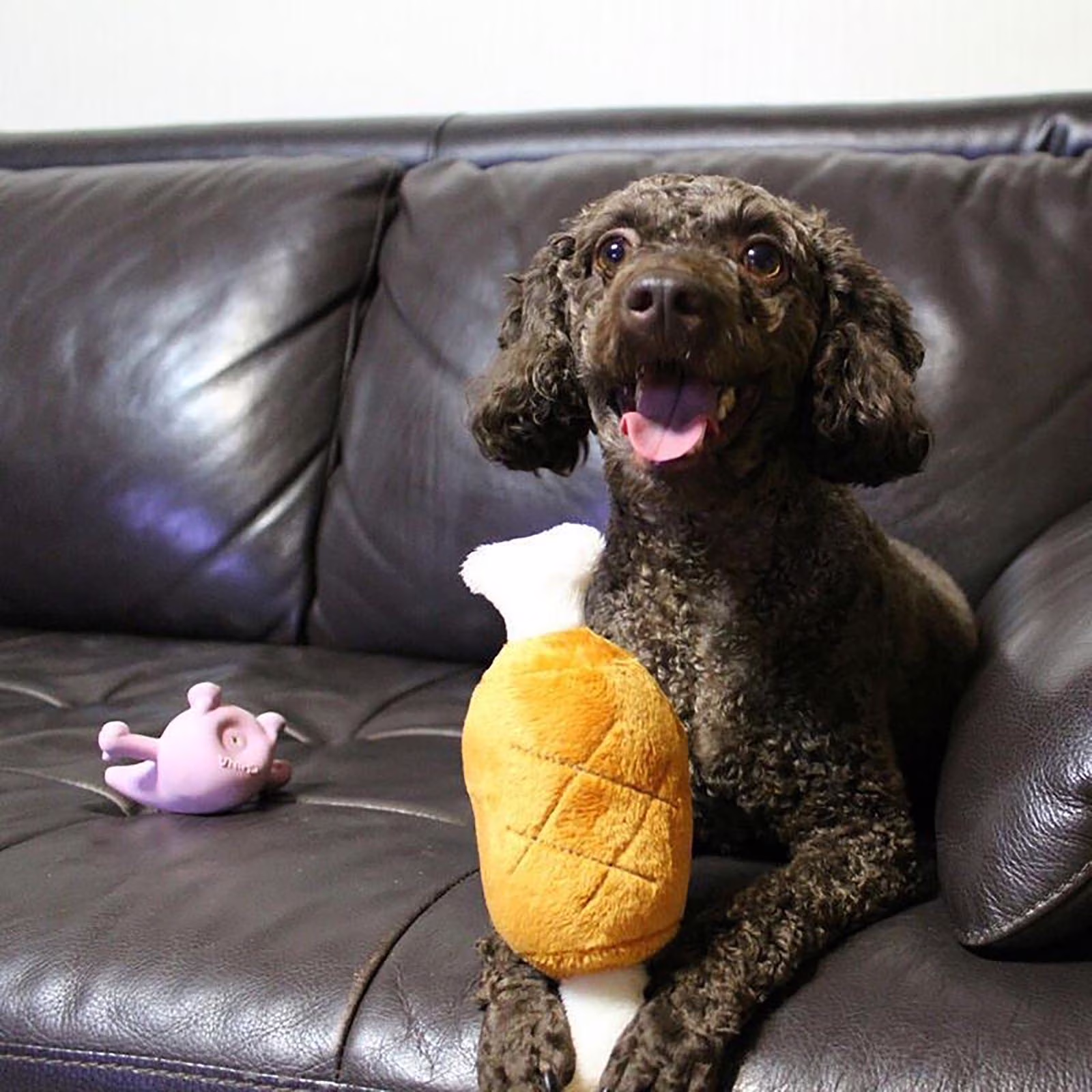 kladzum Dog Toys Small Dog -Chicken Leg Toy Sound Dog Toy Interactive Dog Toys Pet Supplies
