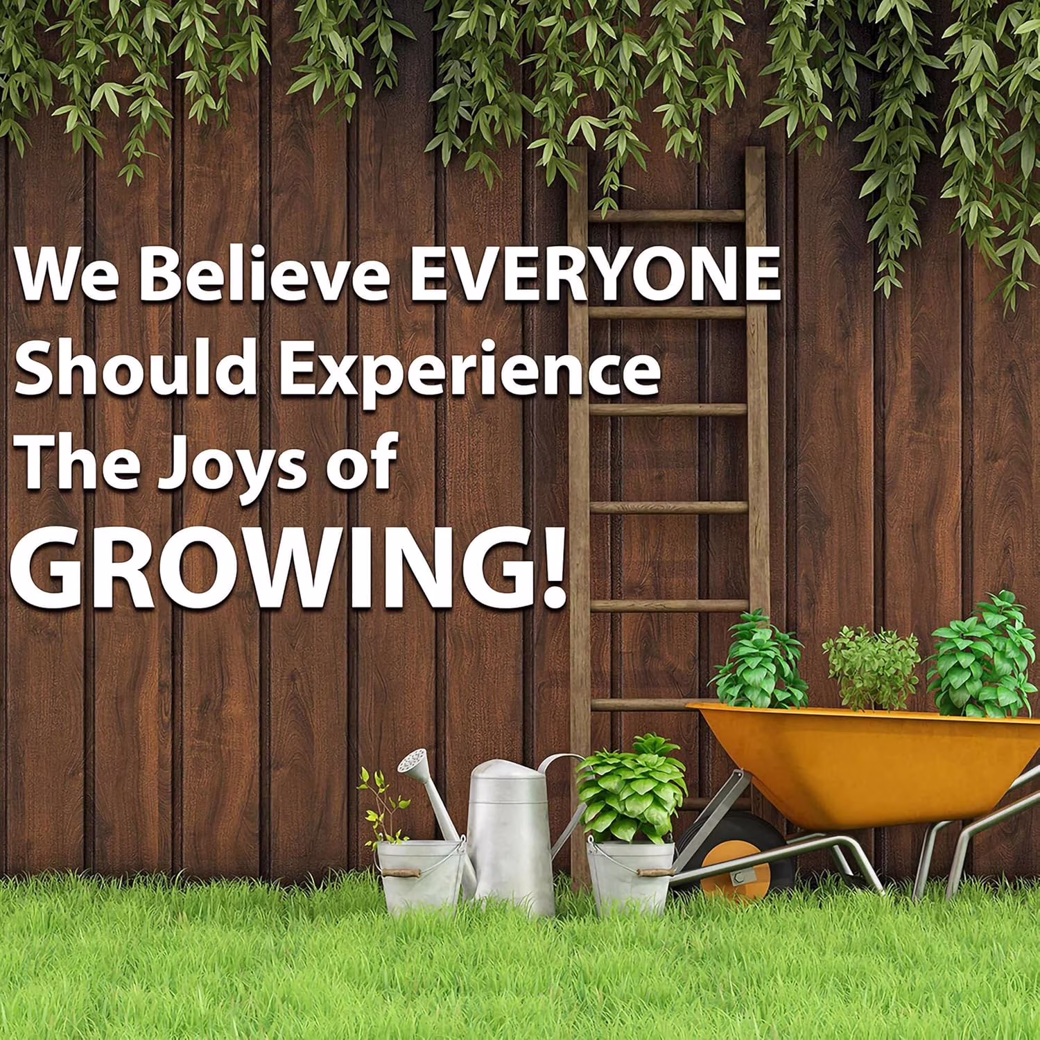 Leaf Lettuce Garden Seeds - Salad Bowl Green - 1 g Packet ~900 Seeds - Non-GMO, Heirloom Vegetable Gardening & Salad Micro Greens Seed