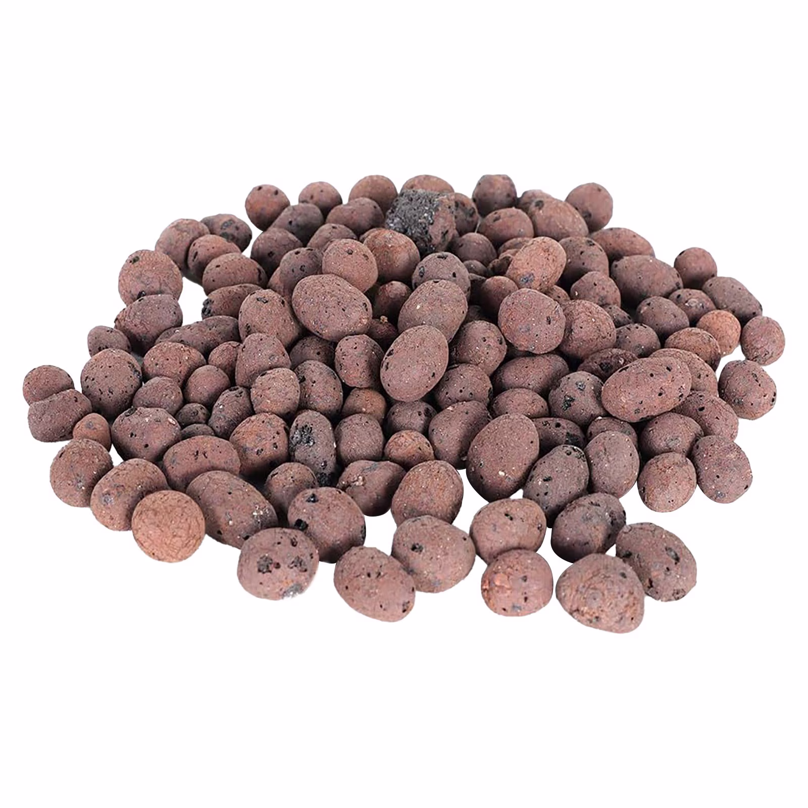 Homesteed Leca Clay Pebbles for Plants Hydroponic Grow Media Clay Pellets for Orchids and Indoor Plants Breathable Clay Balls 100G Coffee
