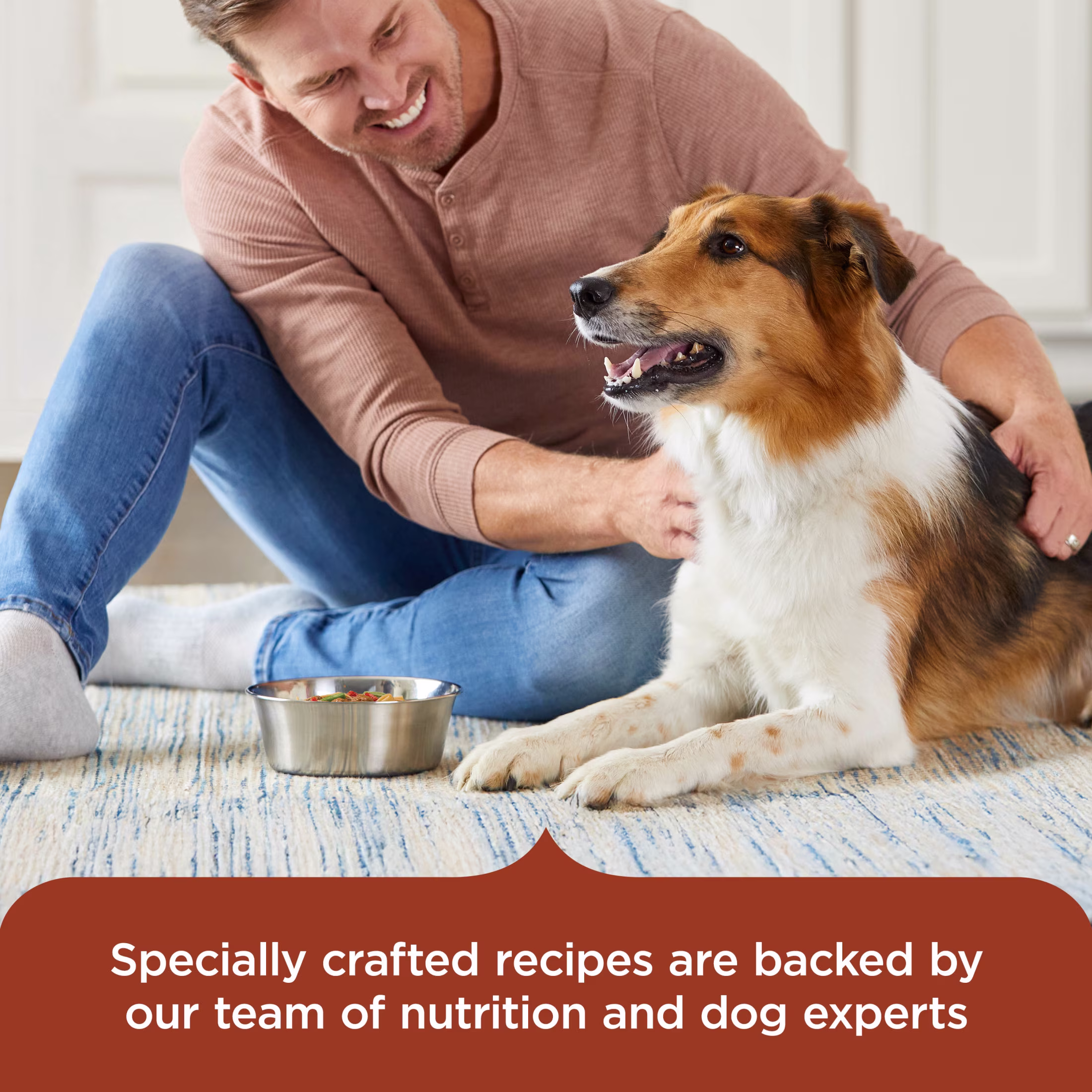 Rachael Ray Nutrish Wet Dog Food, Hearty Beef Stew Recipe, 8 oz. Tub