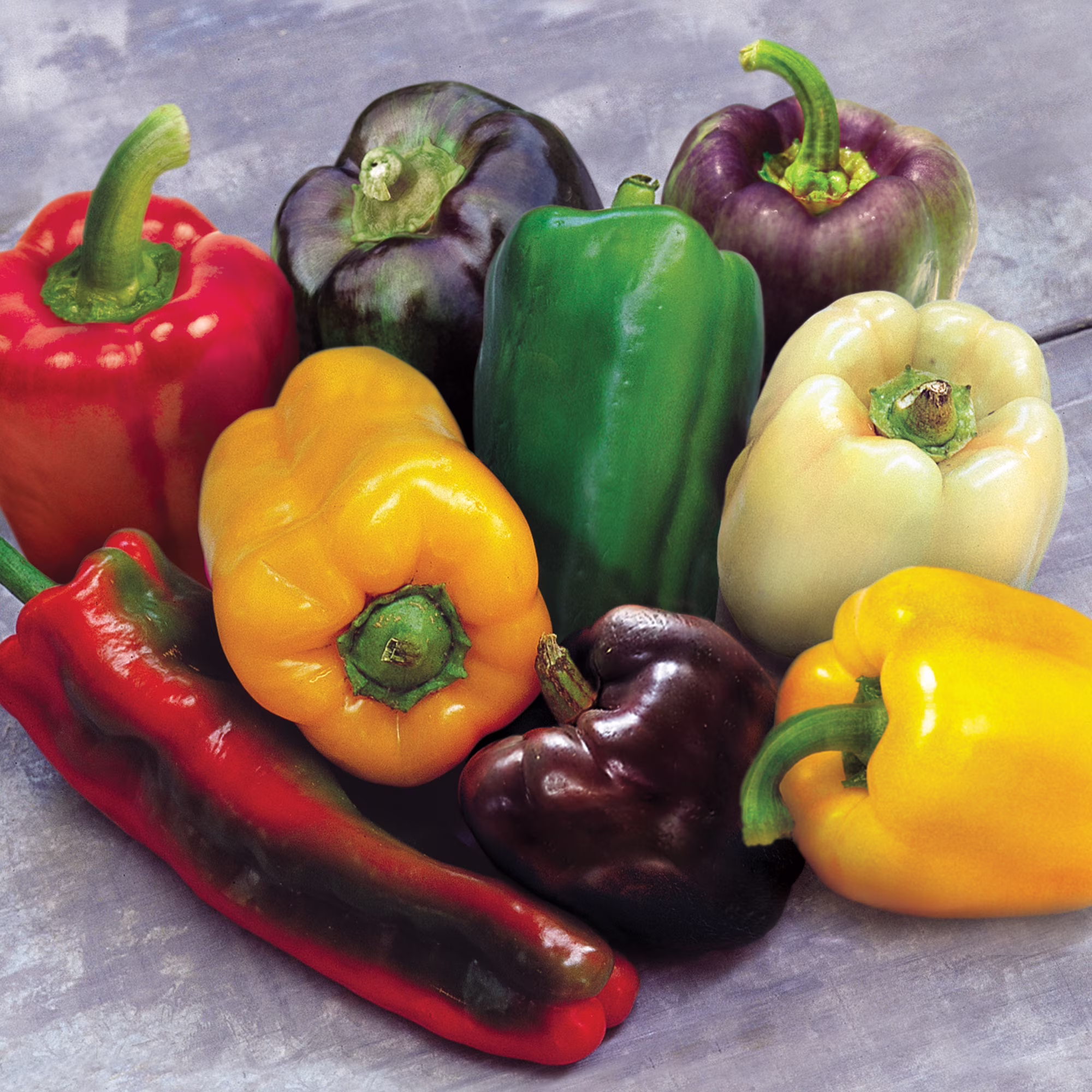 Burpee Kaleidoscope Blend Sweet Pepper Vegetable Seed, 1-Pack
