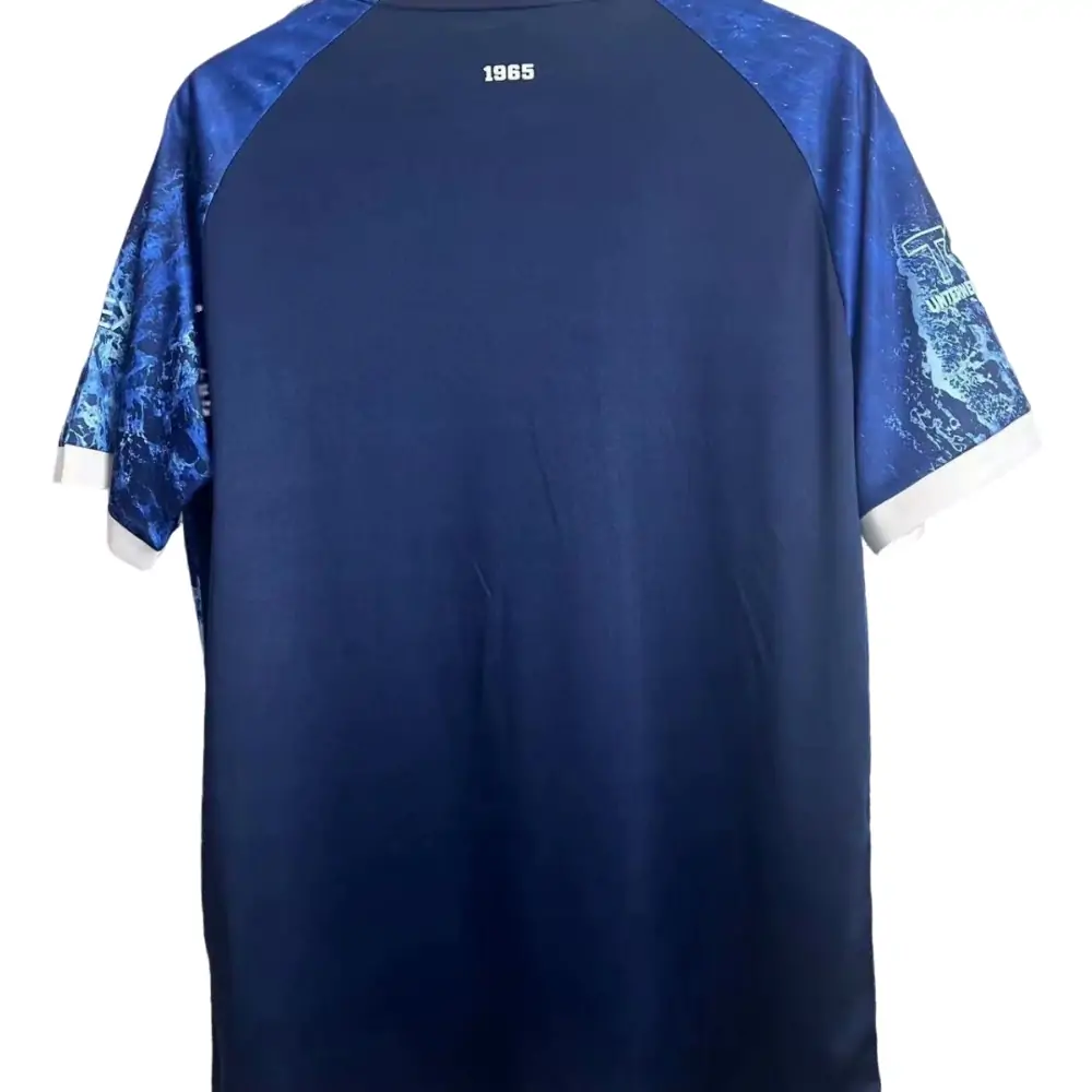 2025-26 FC Hansa Rostock Special kit - Short Sleeve Fans Edition