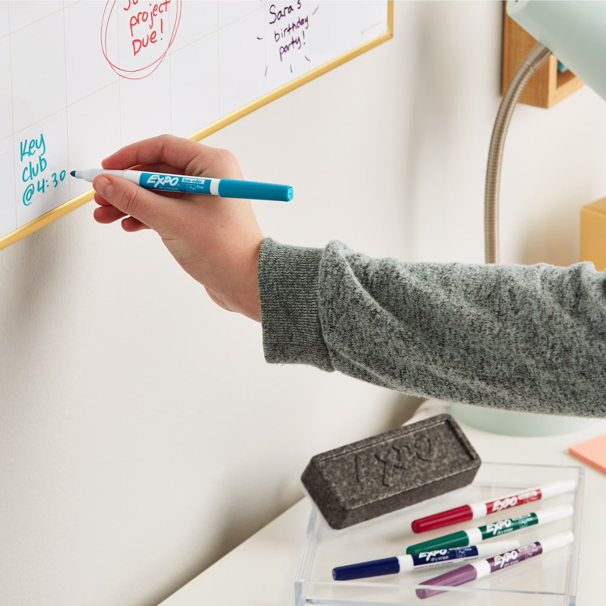 EXPO Whiteboard Eraser, 1 Count