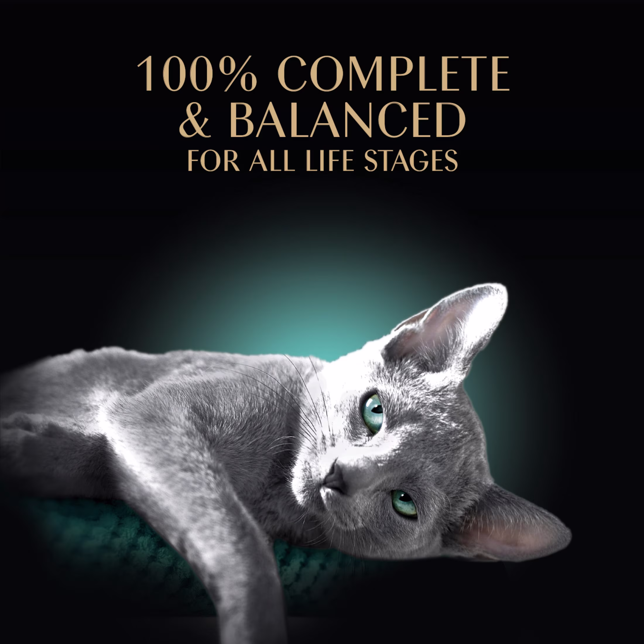 Sheba Perfect Portions Wet Cat Food Cuts in Gravy Tender Trout Entree Twin-Pack, 2.6 oz