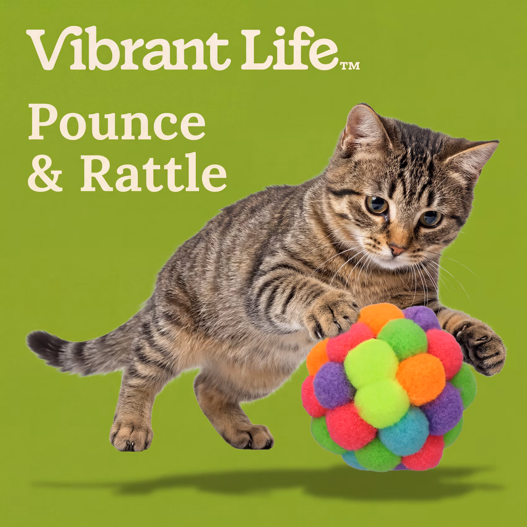 Vibrant Life Pastel Pom Pom Cat Toy, 1 Piece