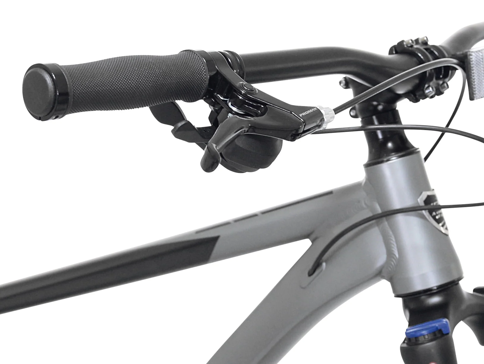 Kent Bicycles 29