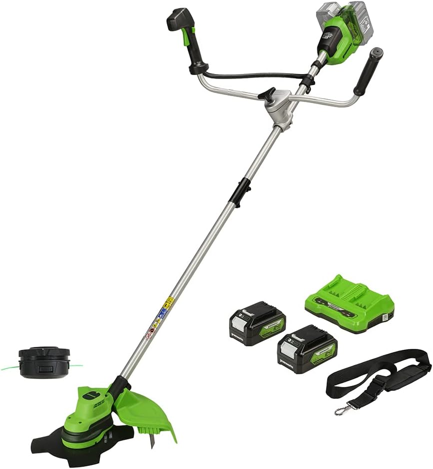 Coupe bordures débroussailleuse 48 V 38 cm avec 2 batteries 4 Ah et chargeur