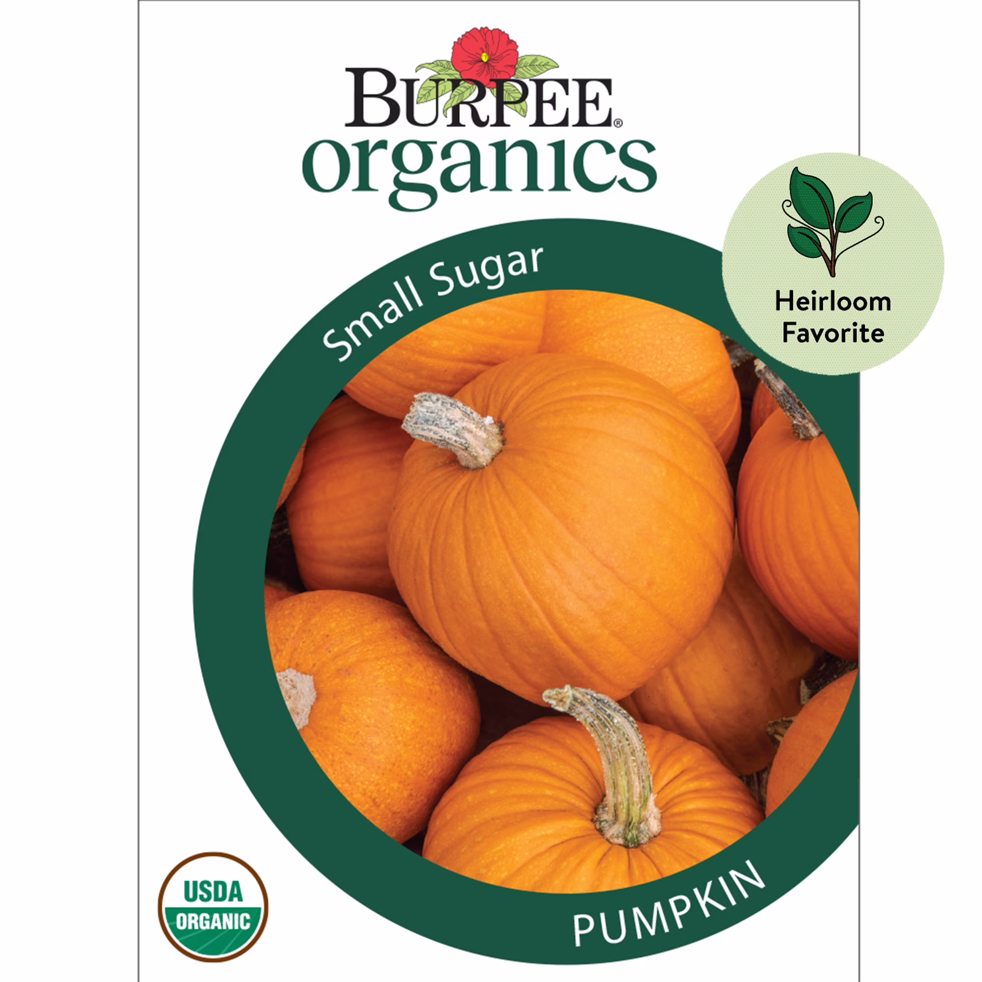 Burpee Organic Small Sugar Pumpkin Vegetable Seed, 1-Pack