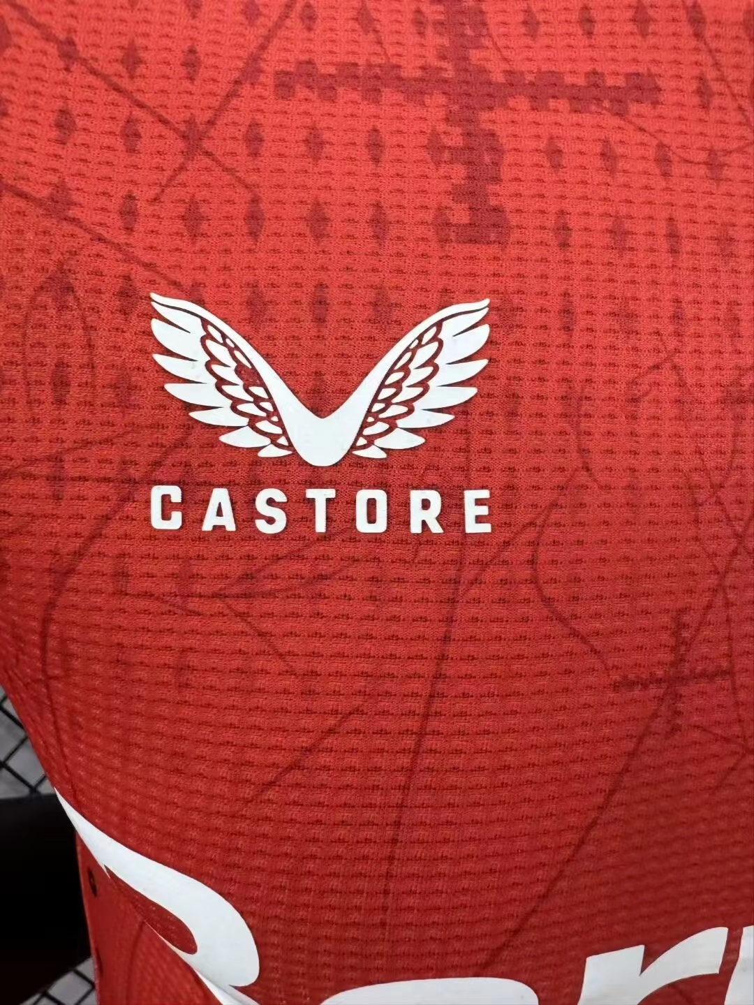 2024/25 Leverkusen Home Player Jersey 1:1 Thai Quality