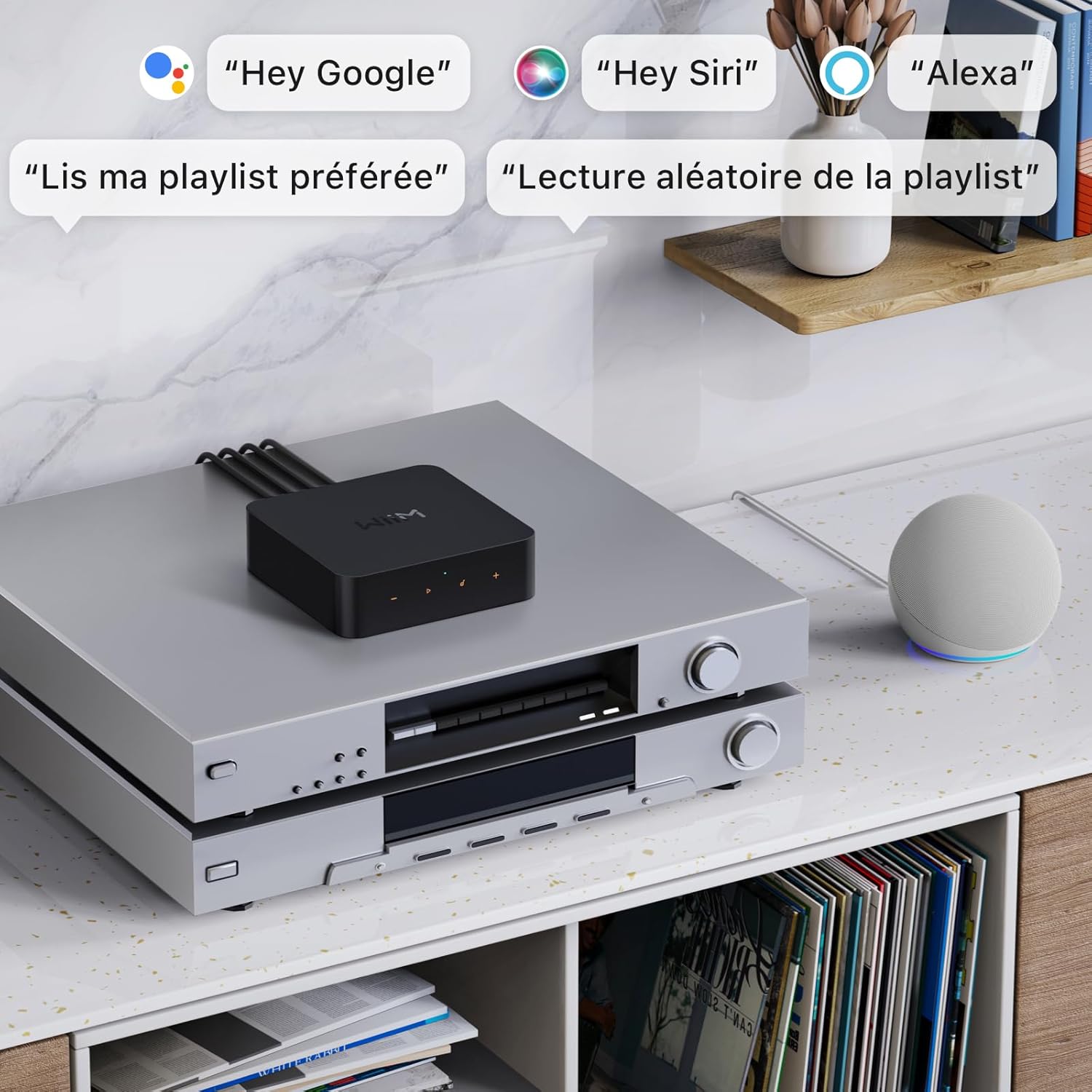 Récepteur audio WiFi AirPlay 2 Cast multiroom haute résolution