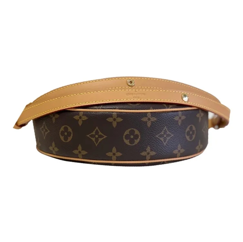Louis vuitton loop bag