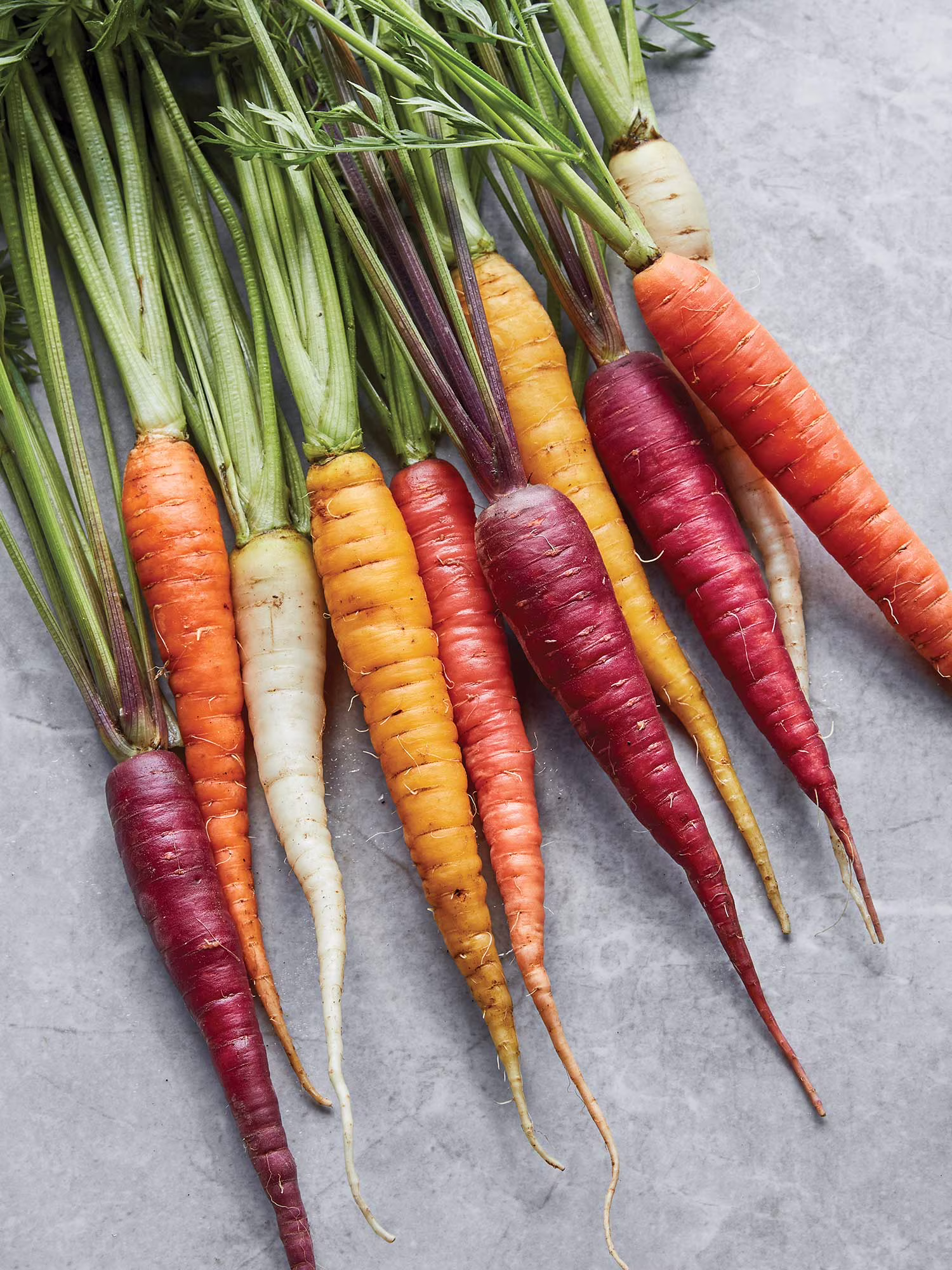 Burpee Kaleidoscope Blend Carrot Seed Tape, Annual Vegetable Carrot Seed, Full Sun