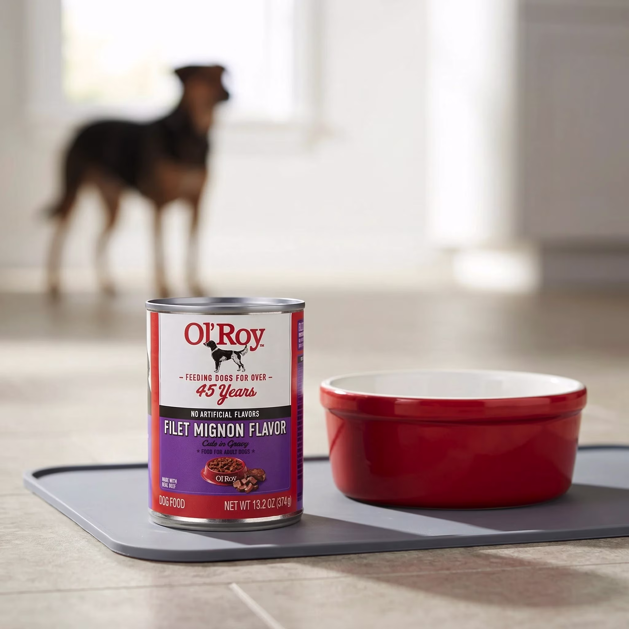 Ol' Roy Filet Mignon Flavor Cuts in Gravy Wet Dog Food, 13.2 oz Can