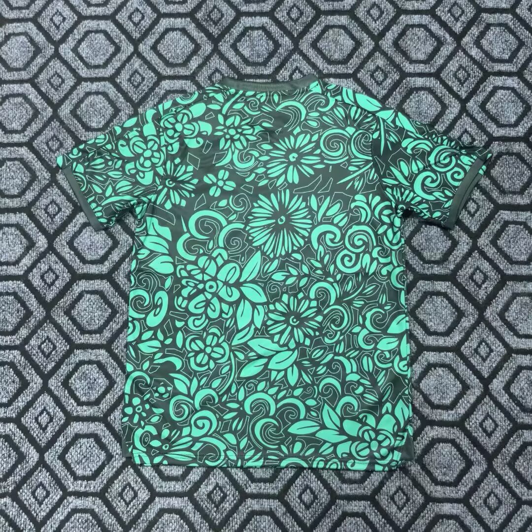 2025-26 Palestine green jersey - fans edition