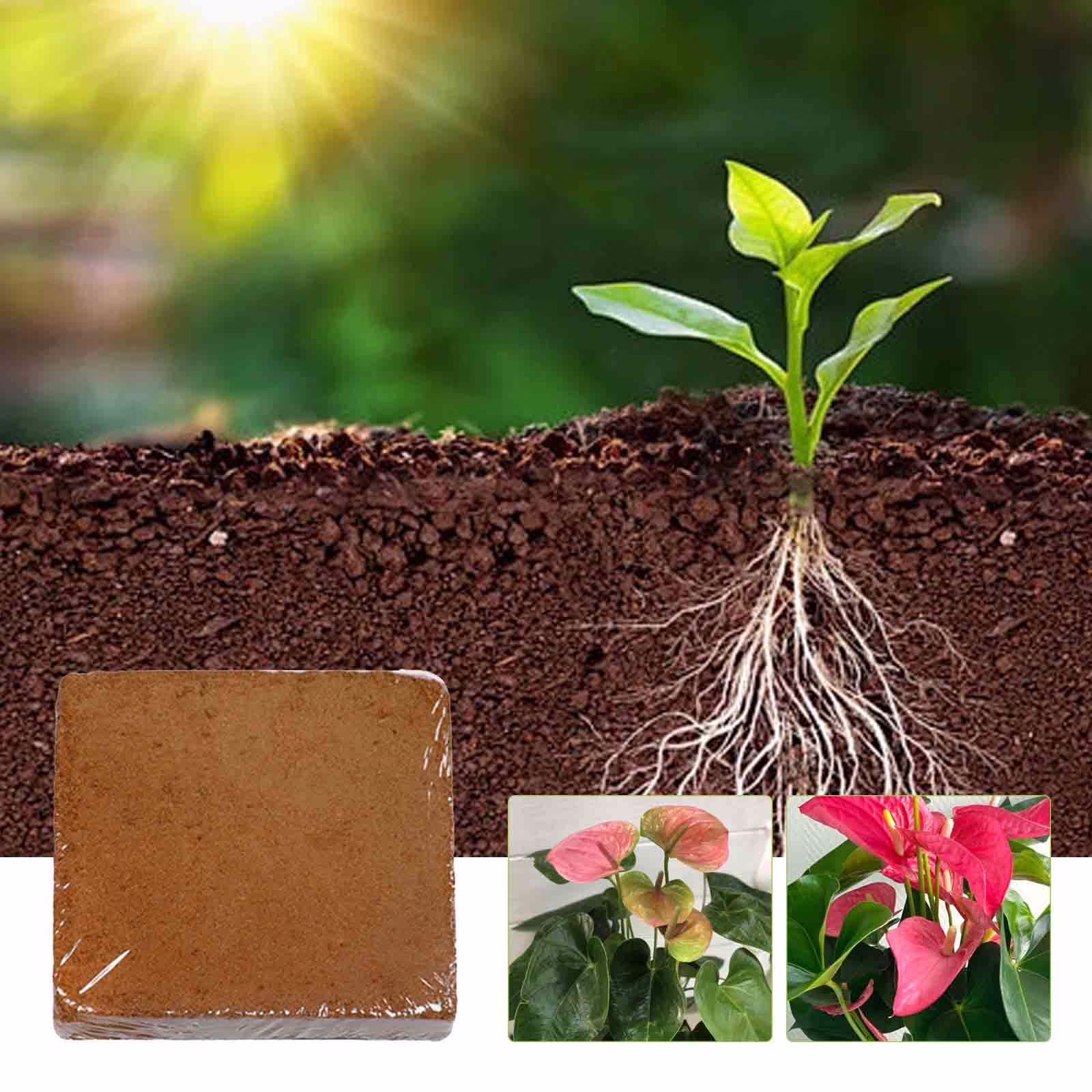 HongHeng Clearance Under $2.00 Plant Coir Fiber Bricks Plant Cultivation Growing Nutrient Dirt Potting Grass Flower Fertilizer