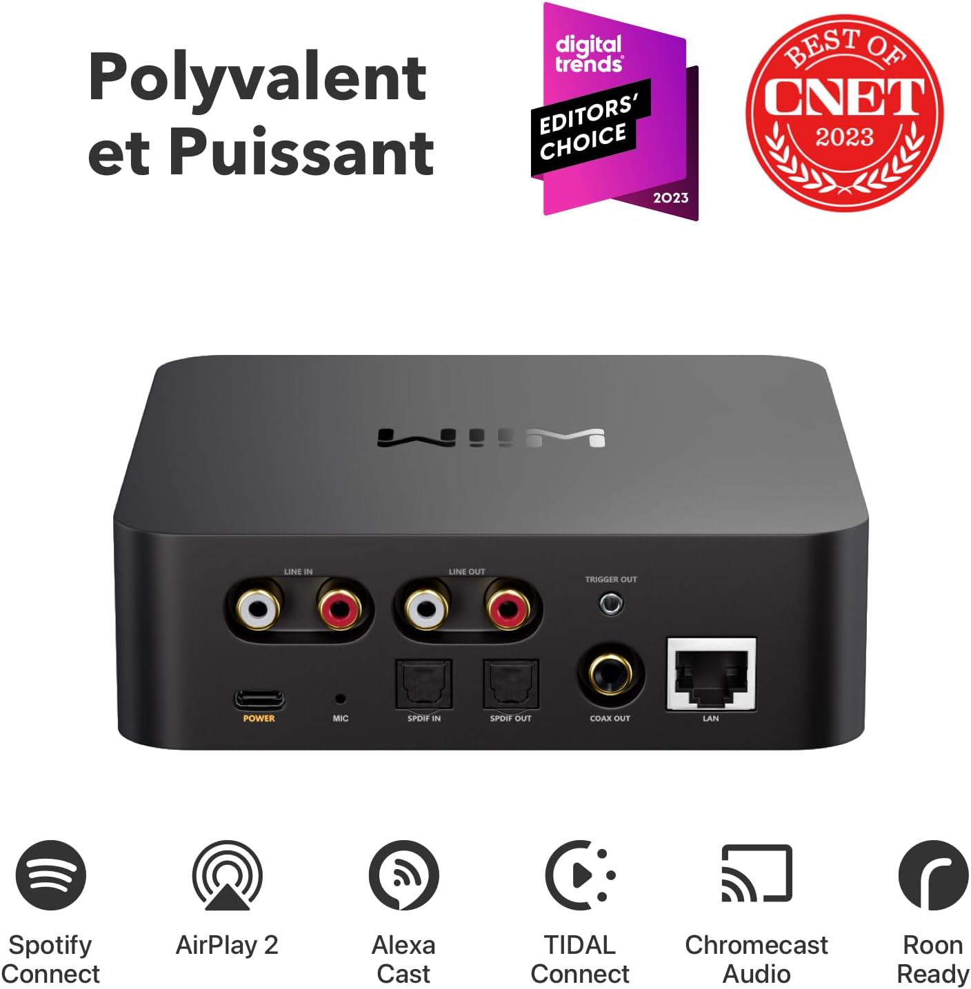Récepteur audio WiFi AirPlay 2 Cast multiroom haute résolution