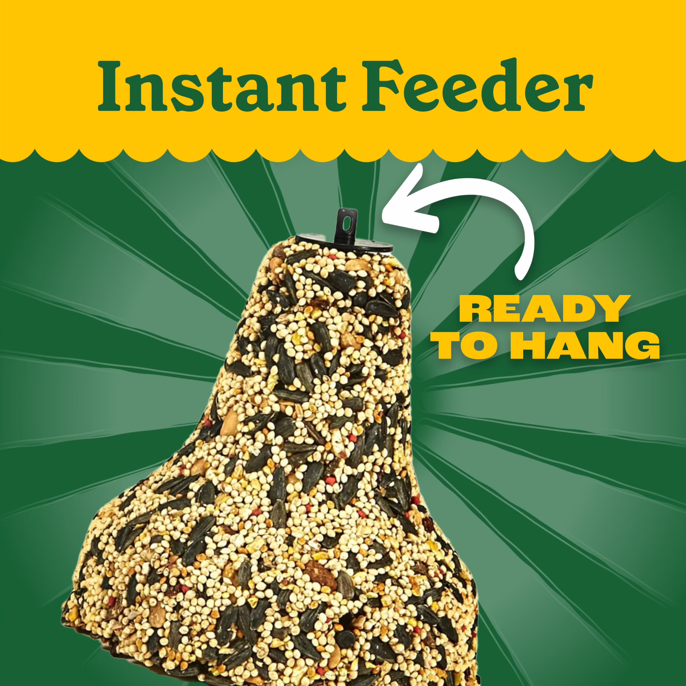 (2 pack) Pennington Nut and Fruit Treat Bell, Wild Bird Feed and Bird Seeds, 15 oz., Dry, 1 Pack