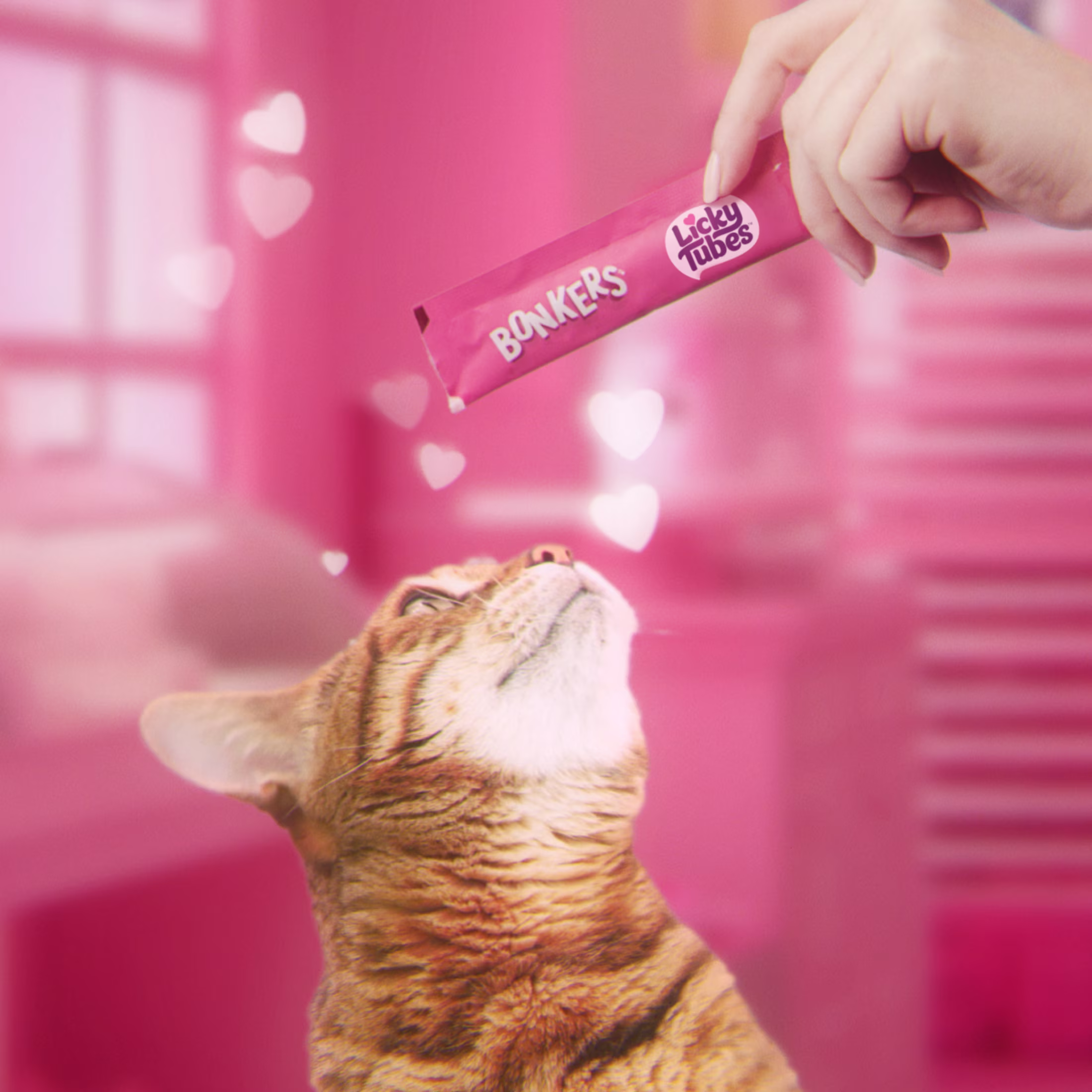 BONKERS Licky Tubes Salmon Flavored Wet Lickable Treats for Cats, 4 Pack
