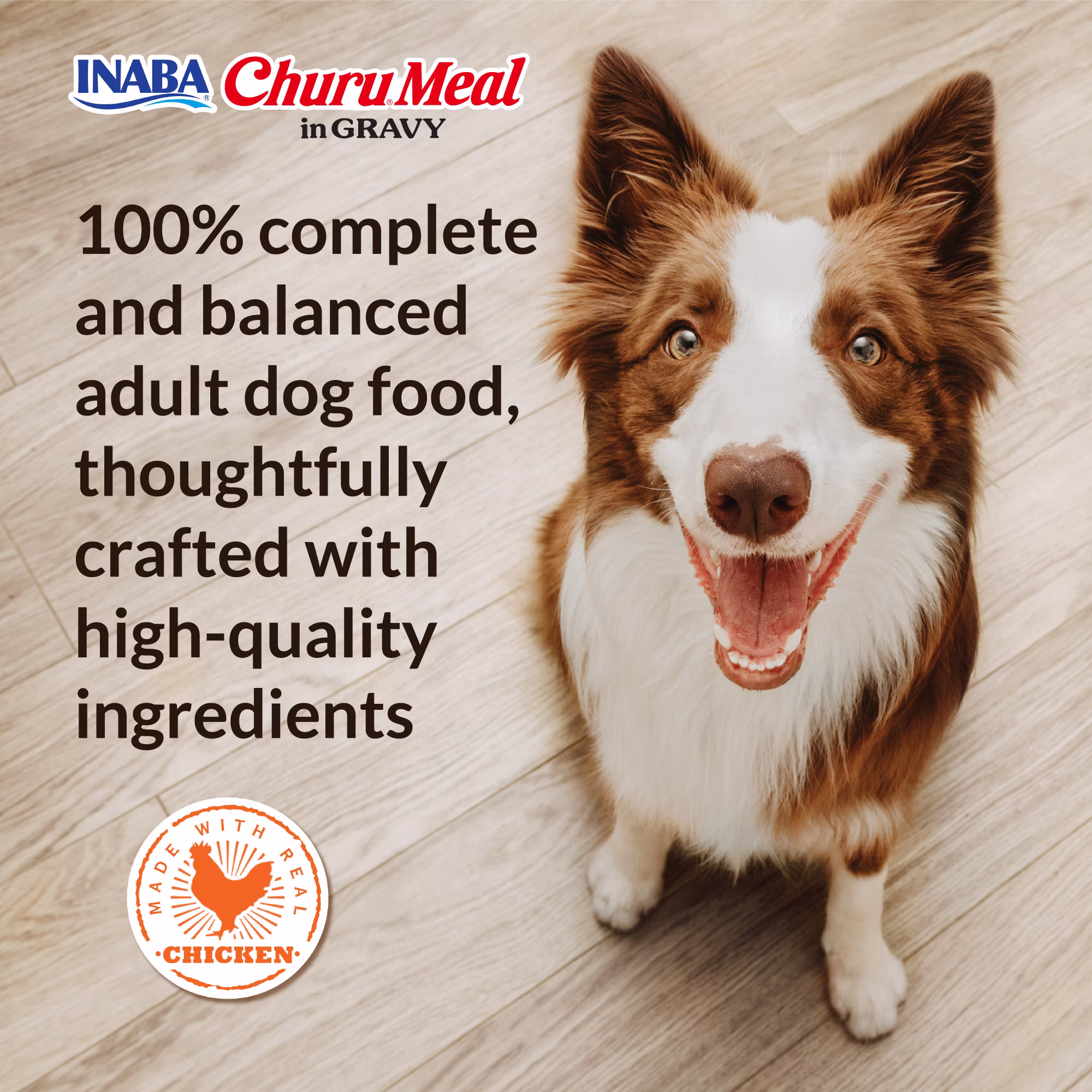 INABA Churu Meal in Gravy Adult Wet Dog Food, 9.5 oz cup, 1-count, Vegetable & Beef