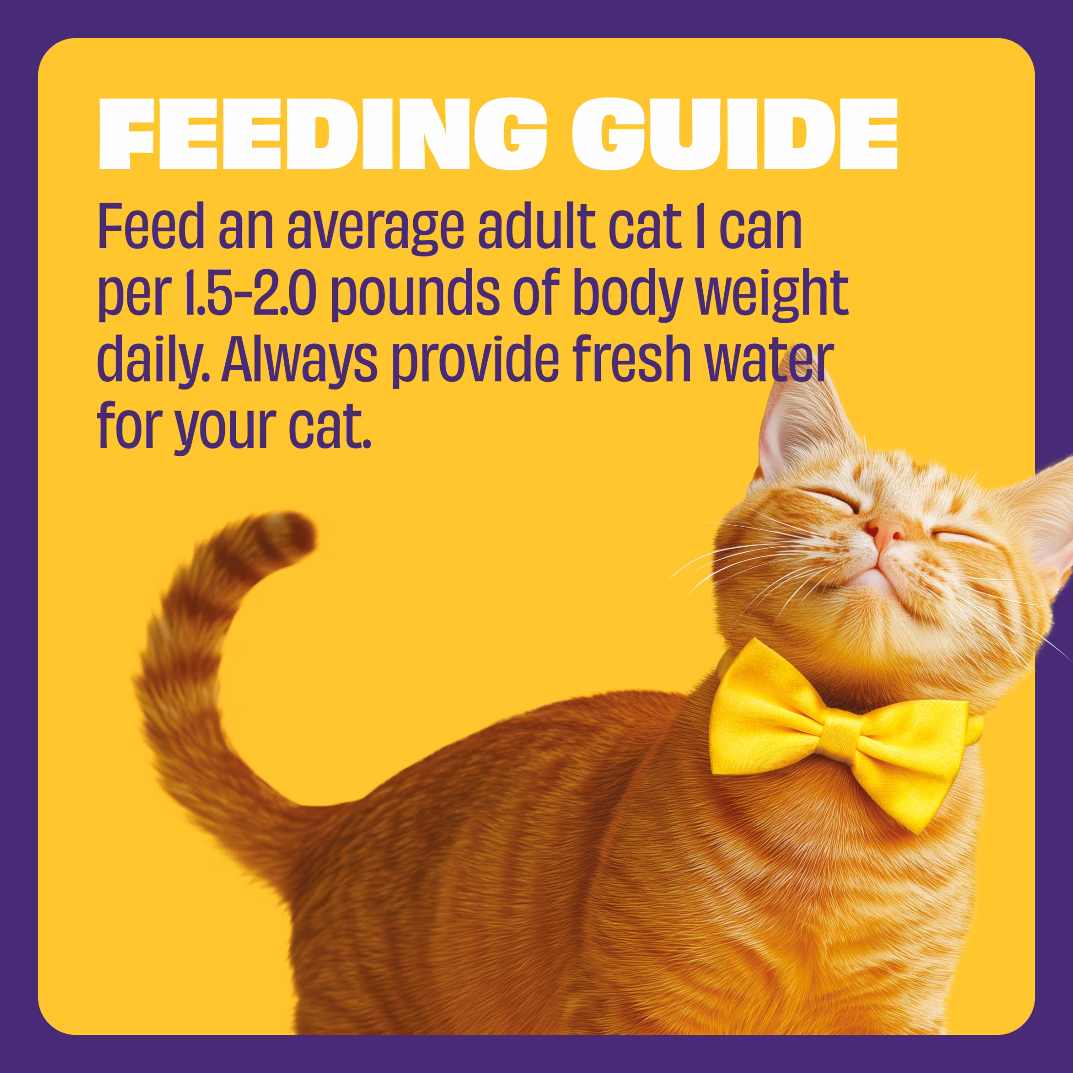 Mr Purrs Seafood & Shrimp Pate Wet Cat Food, 3 oz Can