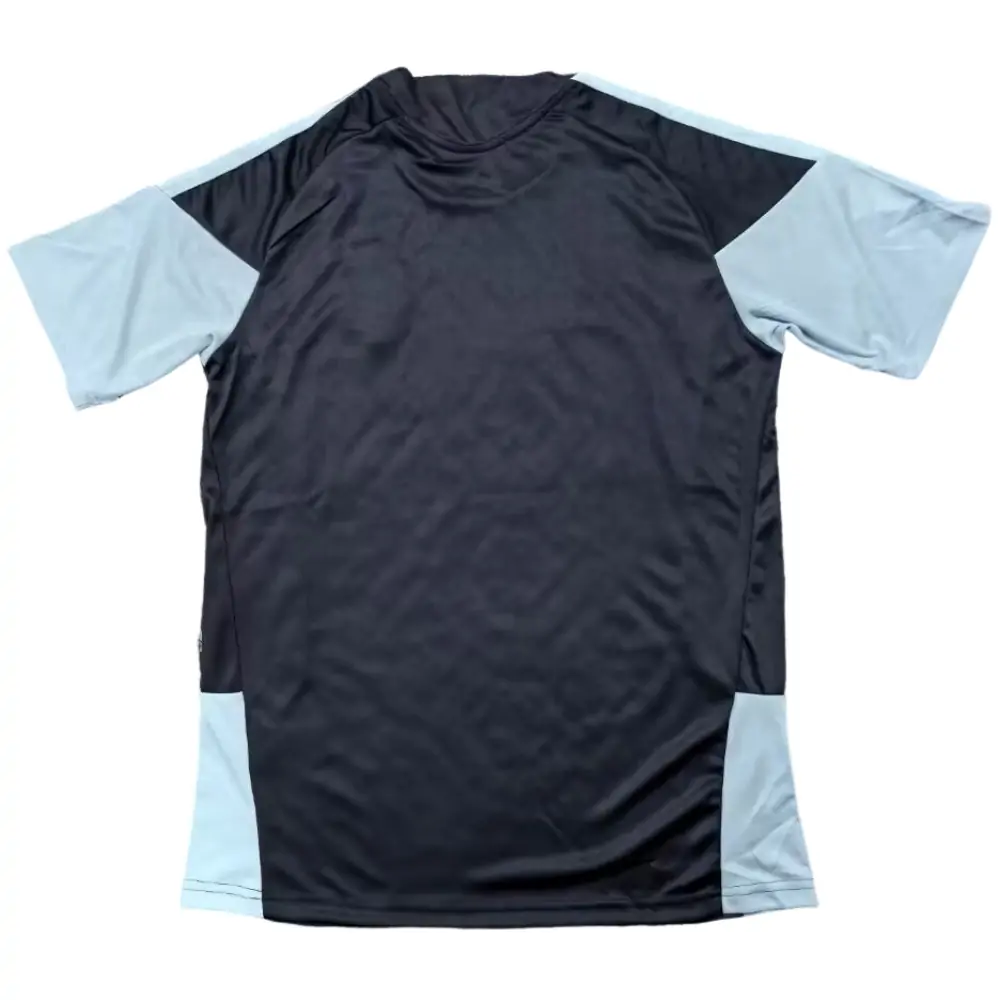 2026 World Cup Argentina Training Jersey - Fans Edition