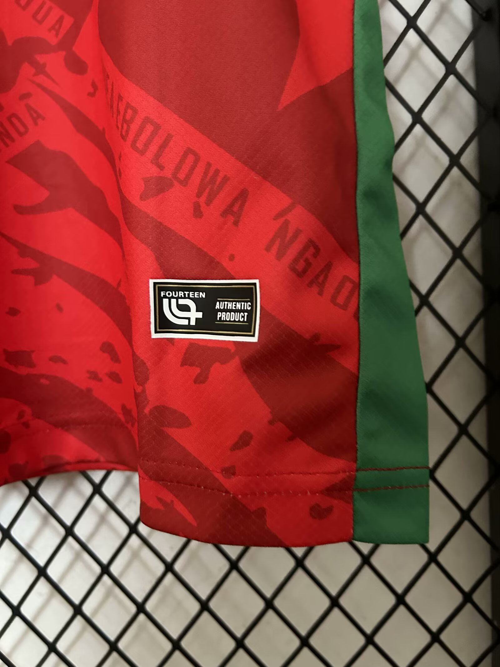 202-26 Cameroon Red - Jersey - Fan Edition