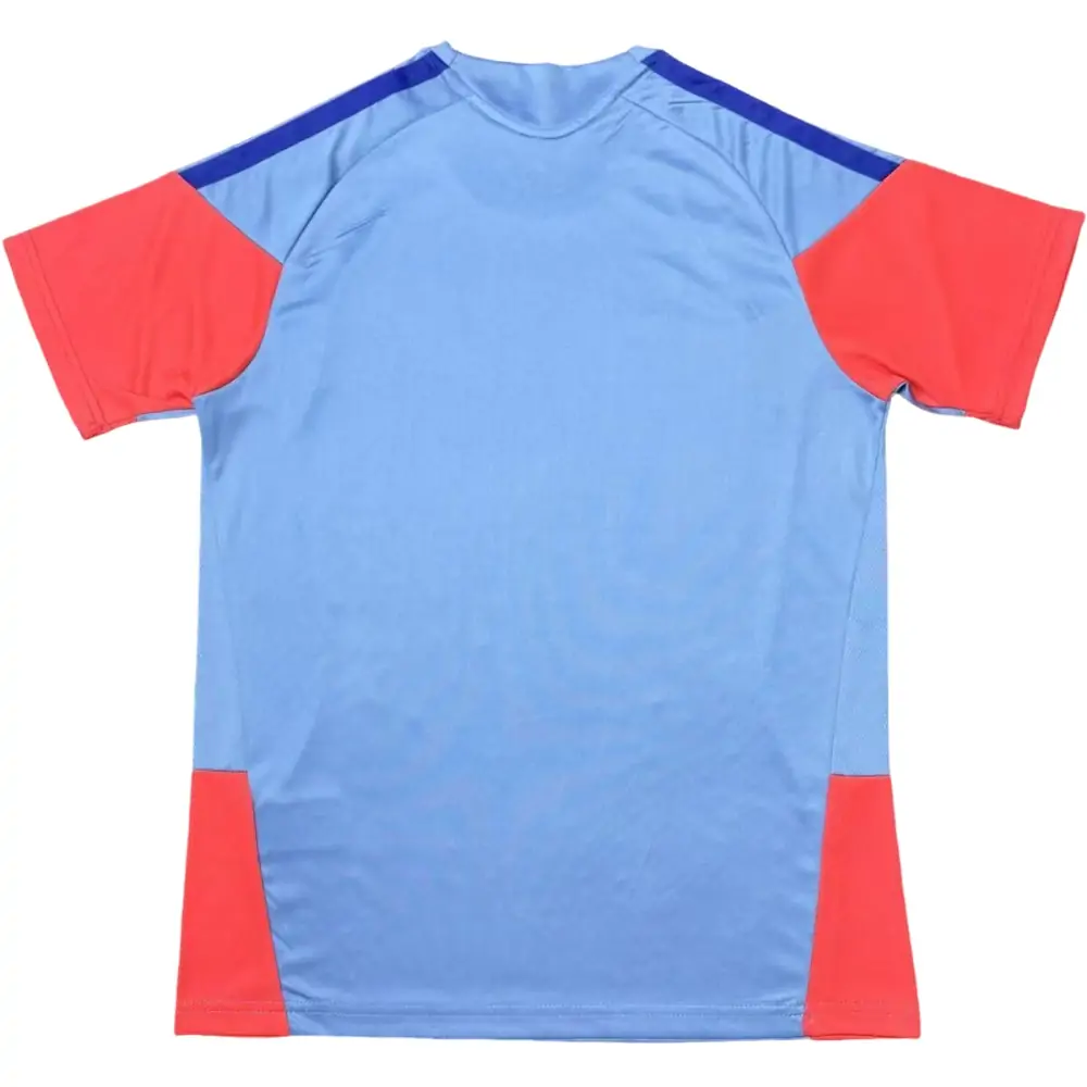 2026 World Cup Japan Training Jersey - Fans Edition