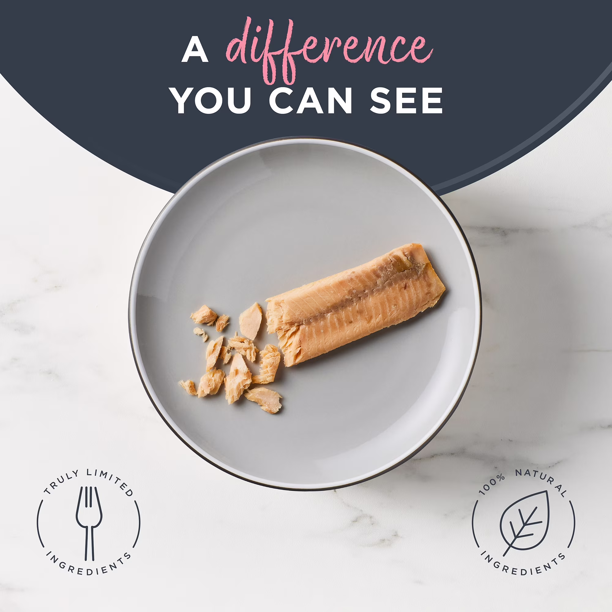 Reveal Pet Food Natural Cat Treats Whole Salmon Loin 1.06oz