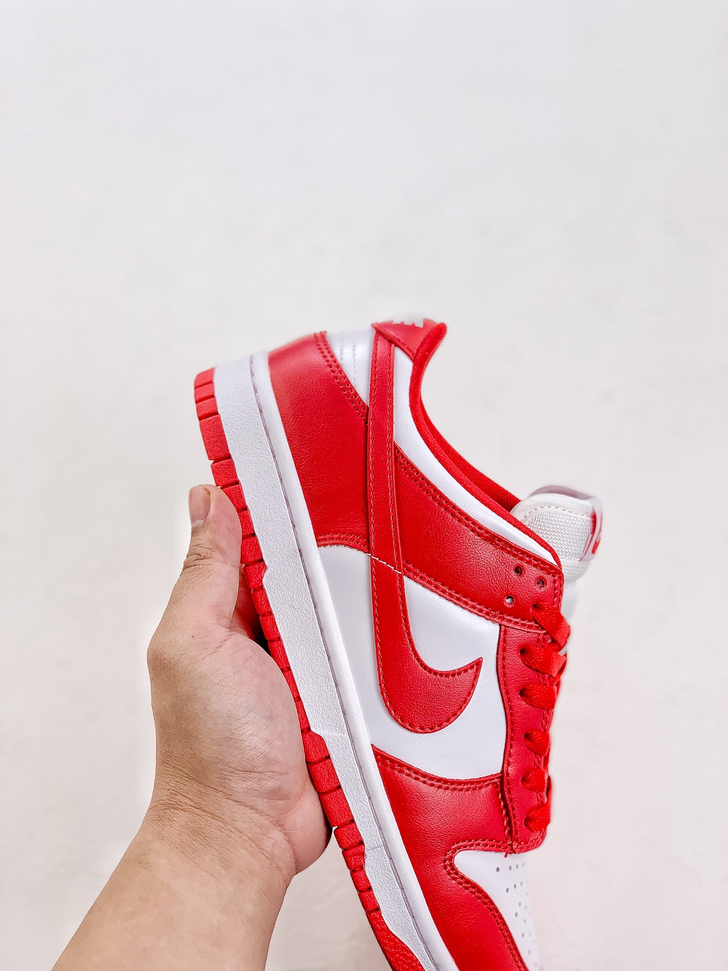 Nike Dunk Low SP 