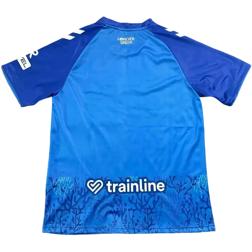 2025-26-Betis Special Edition Blue-Jersey-Fan Edition