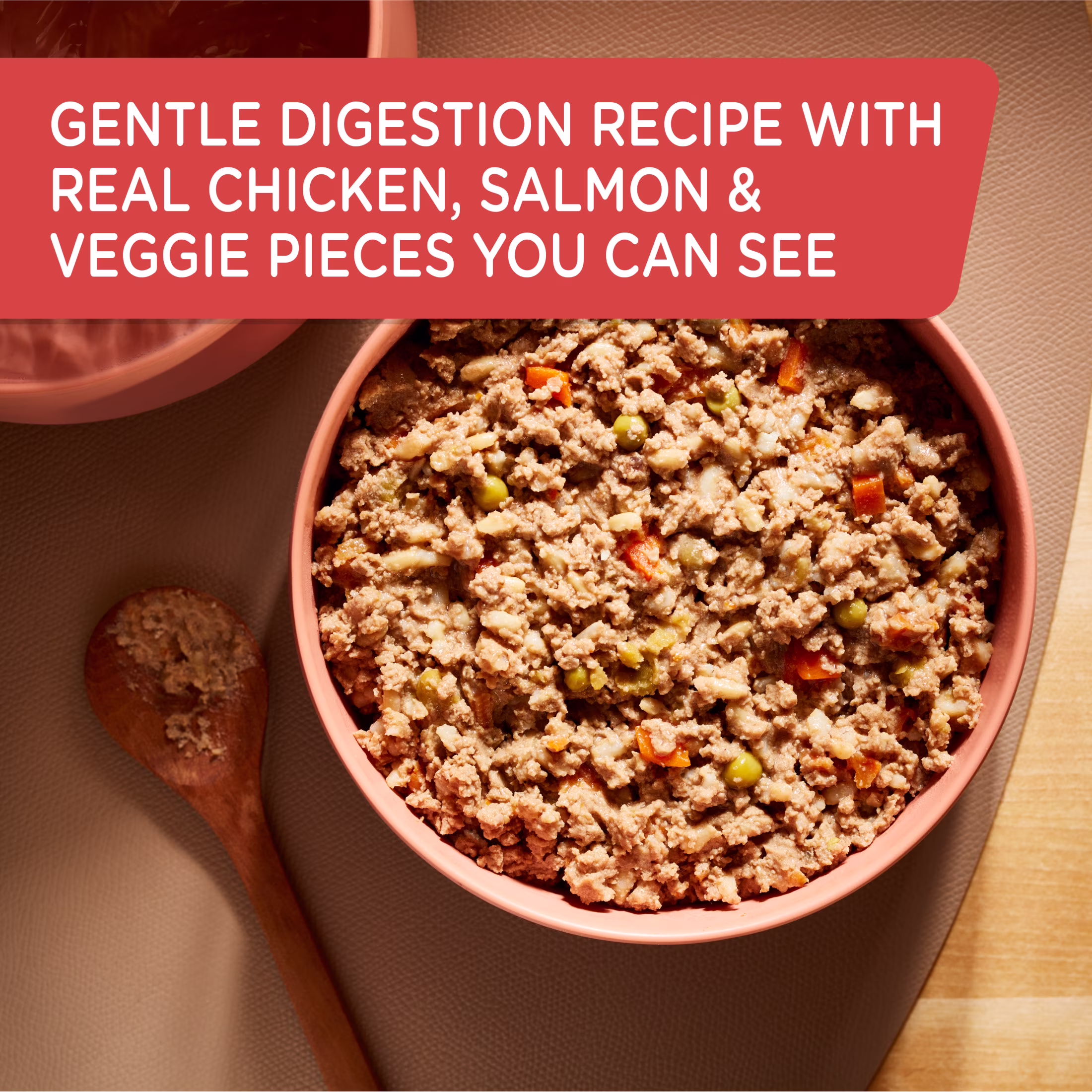 Rachael Ray Nutrish Premium Paté Gentle Digestion Real Chicken, Pumpkin & Salmon Recipe Wet Dog Food, 13 oz. Can