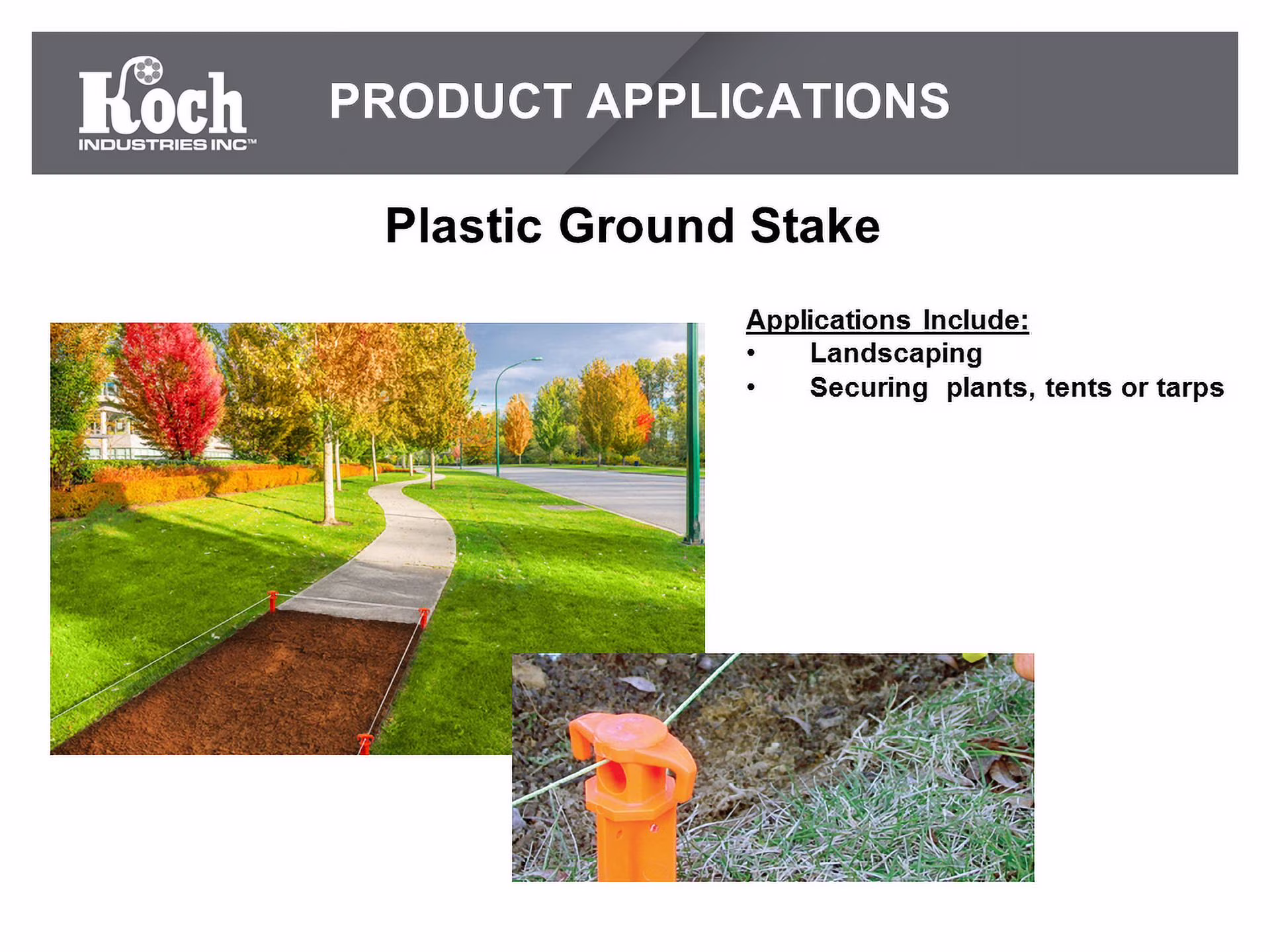 Hyper Tough Item# GS10-10HT, Plastic Ground Garden and Tent Stake, Black 10