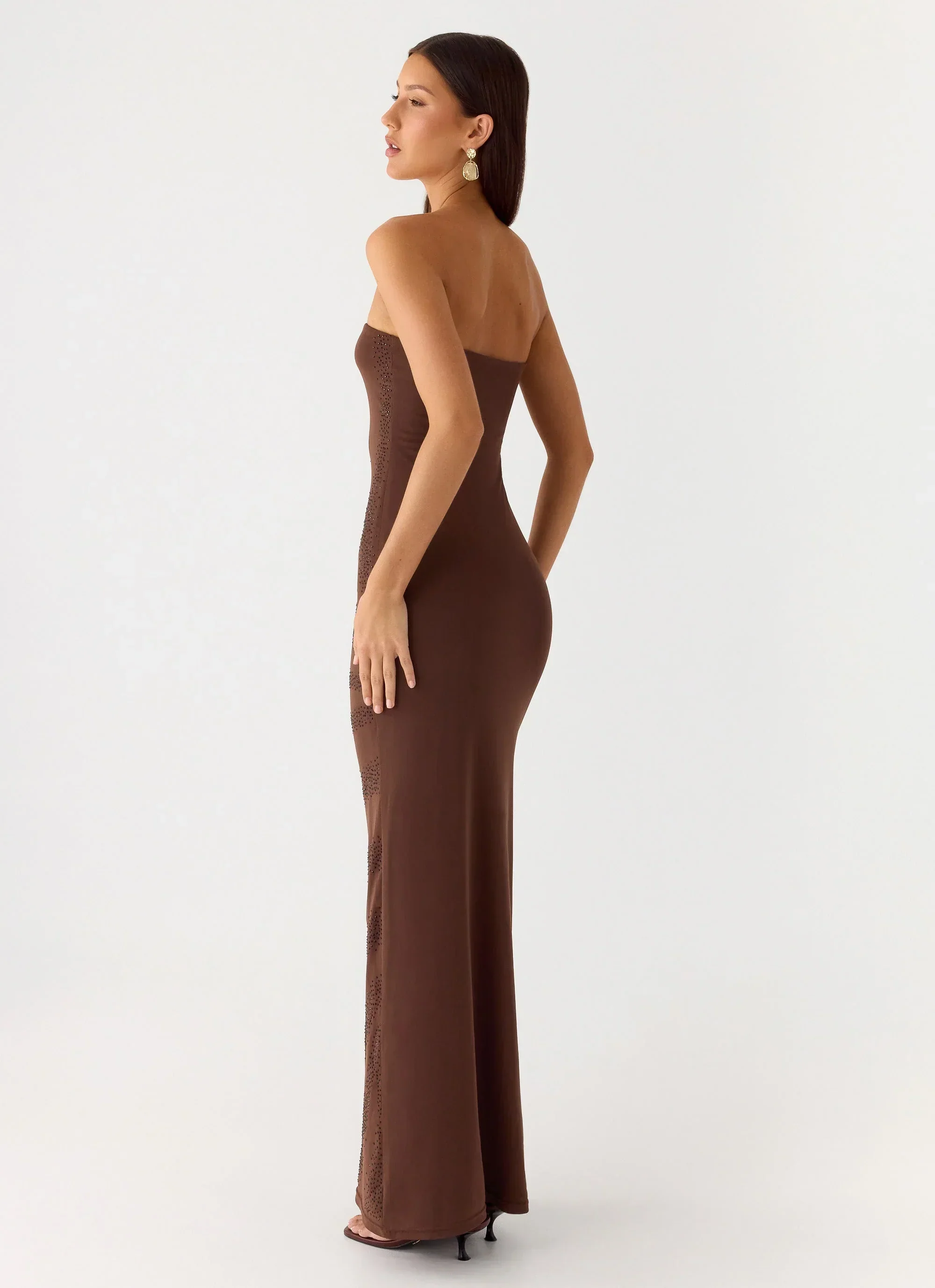 Belisse Beaded Mesh Maxi Dress - Chocolate