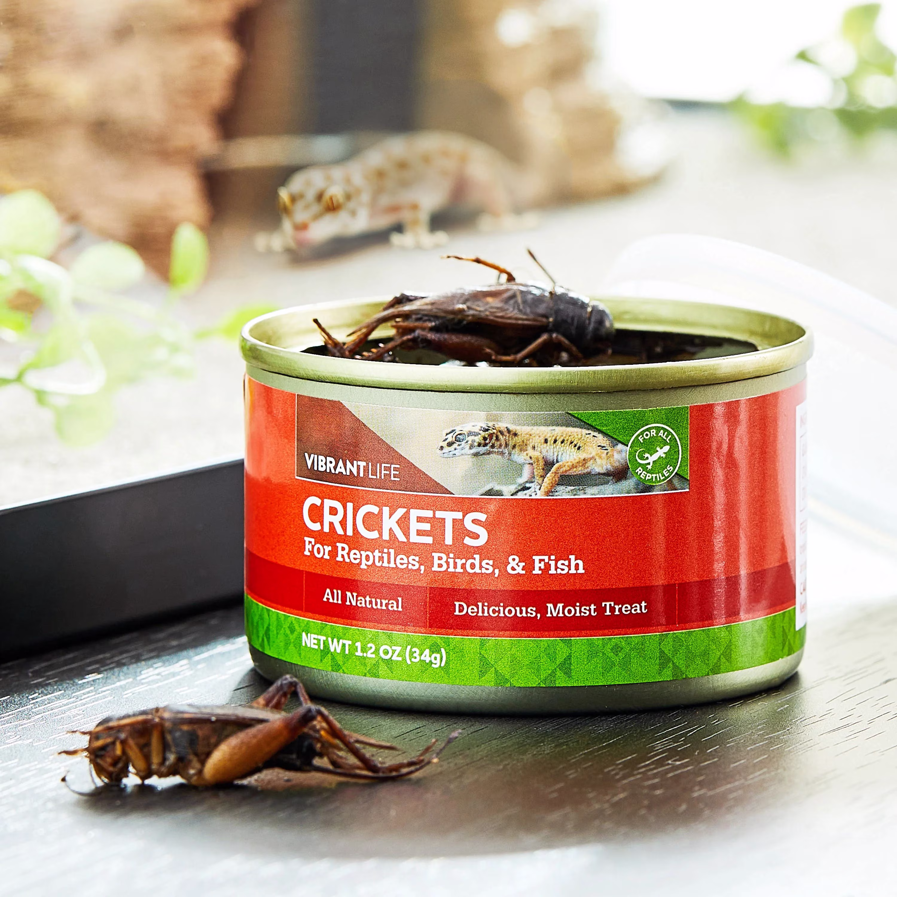 Vibrant Life Canned Crickets for Reptiles, Birds & Fish, 1.2 oz