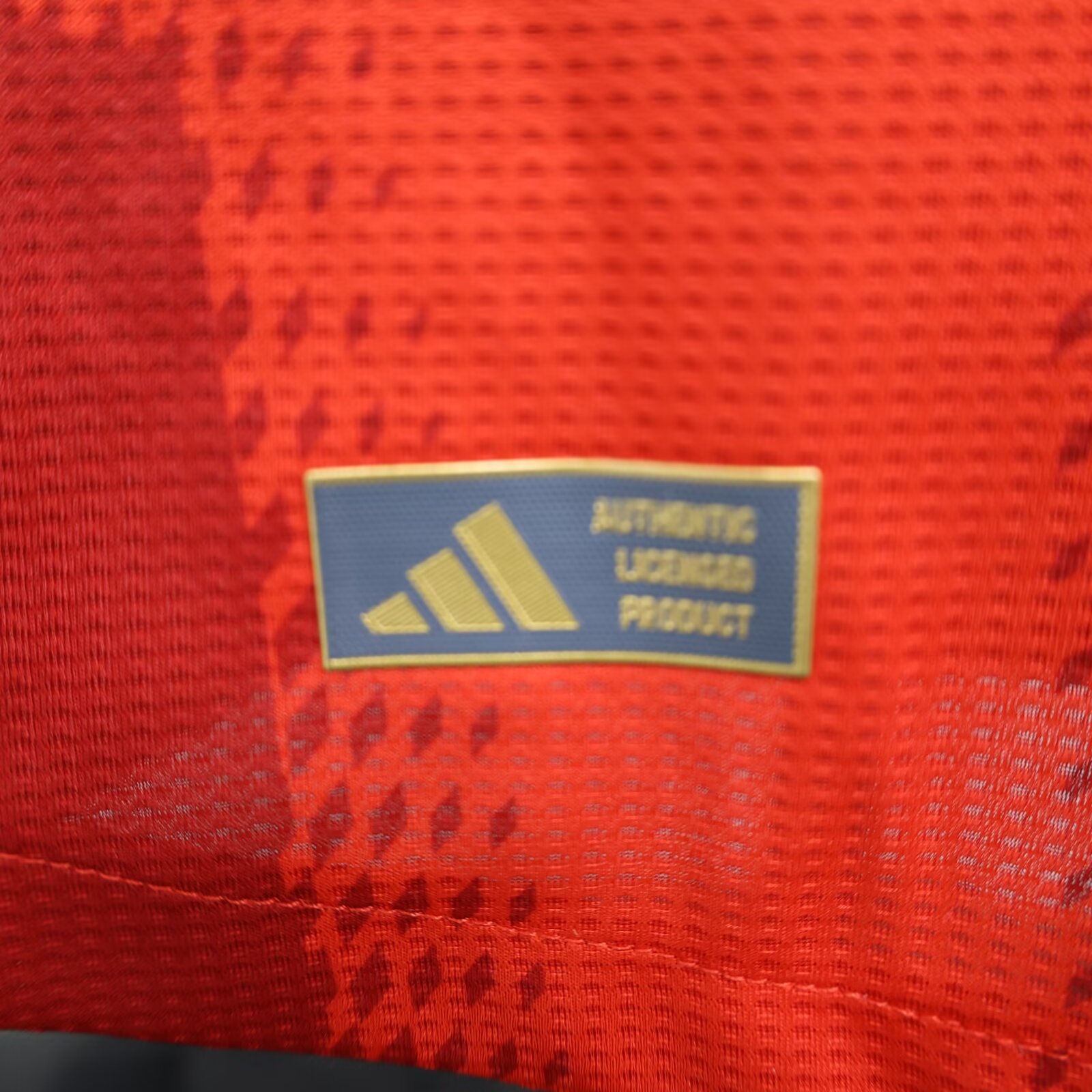 2024/25 Bayern Munich Home Long Sleeve Player Edition Jersey 1:1 Thai Quality