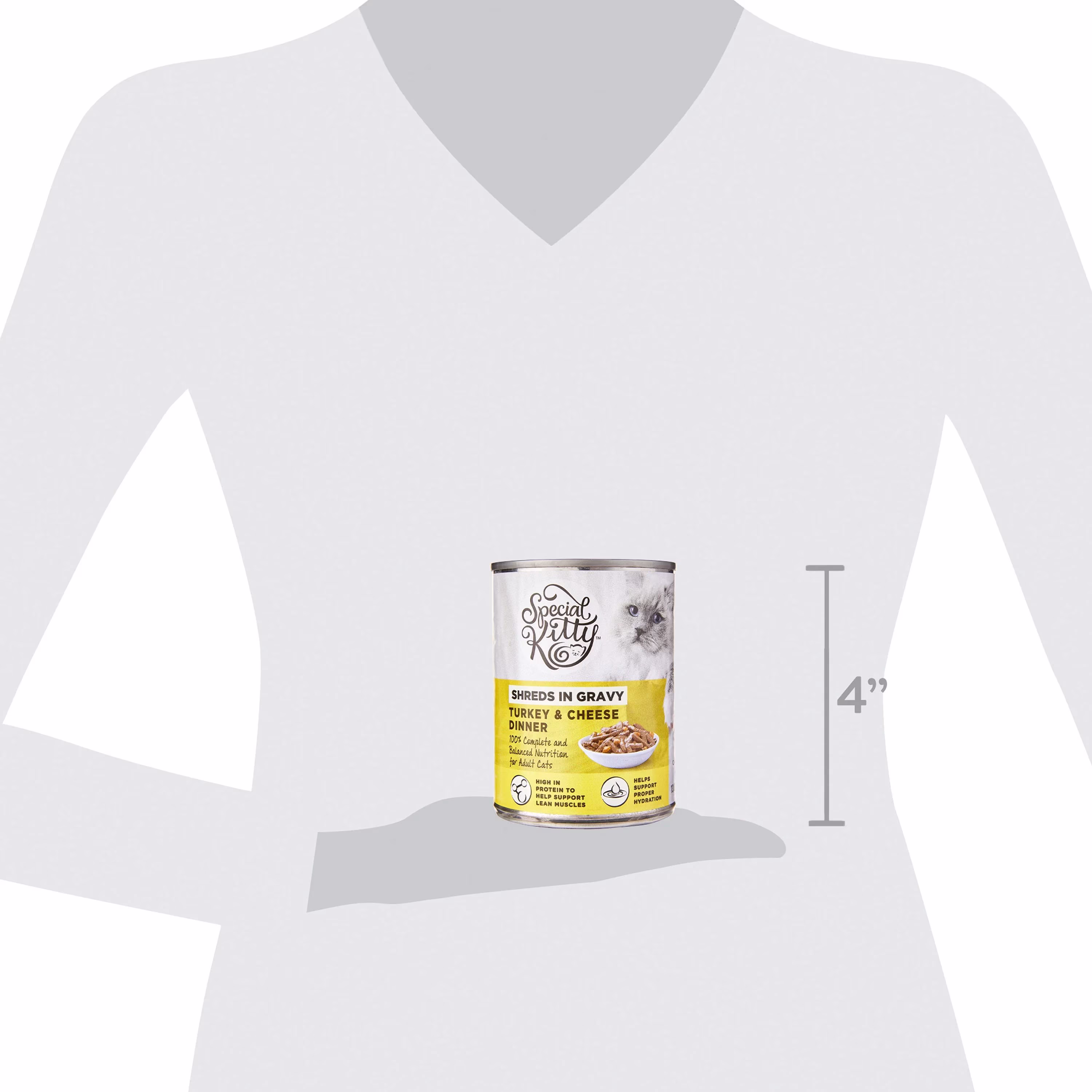 Special Kitty Turkey & Cheese Dinner Shreds in Gravy Wet Cat Food, 13 oz Can