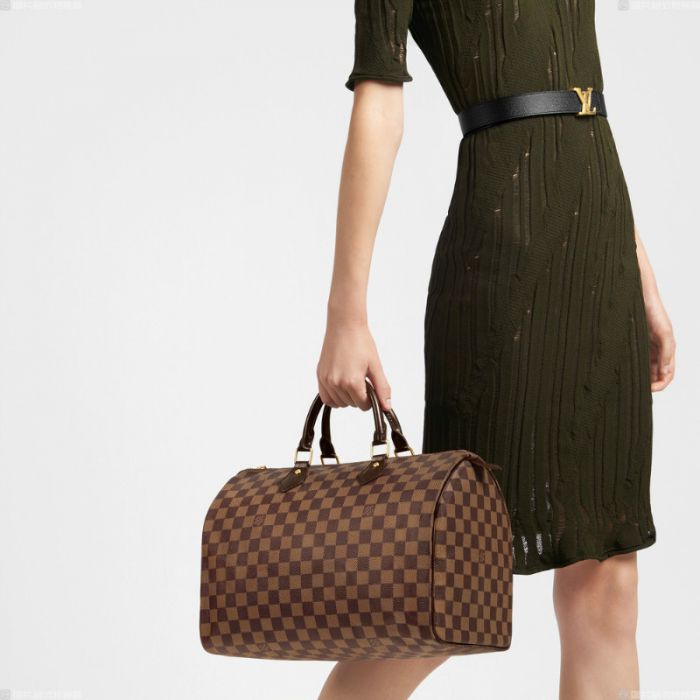 Louis Vuitton Speedy 35 N41363
